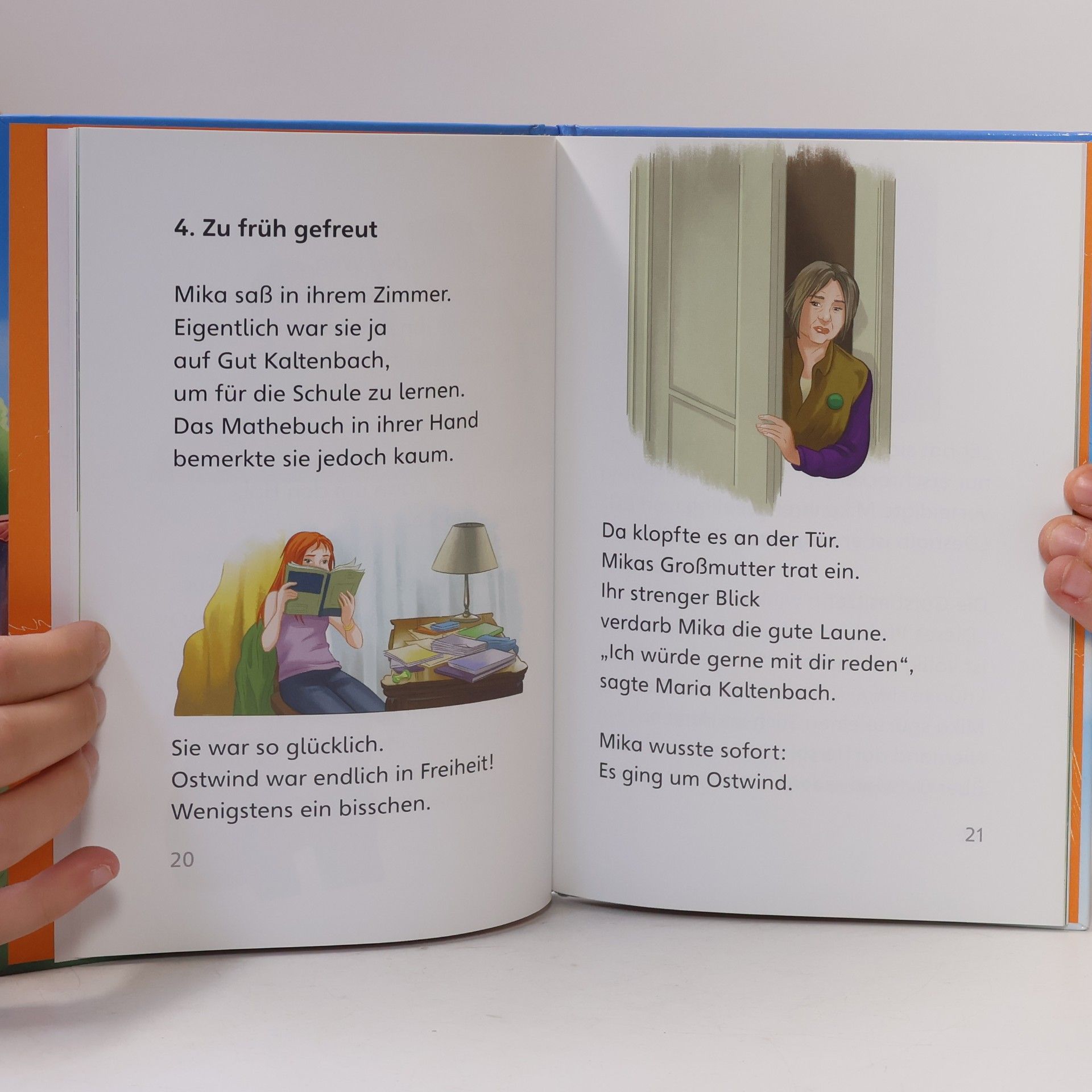 Thilo Petry-Lassak Ostwind - die rettende Idee