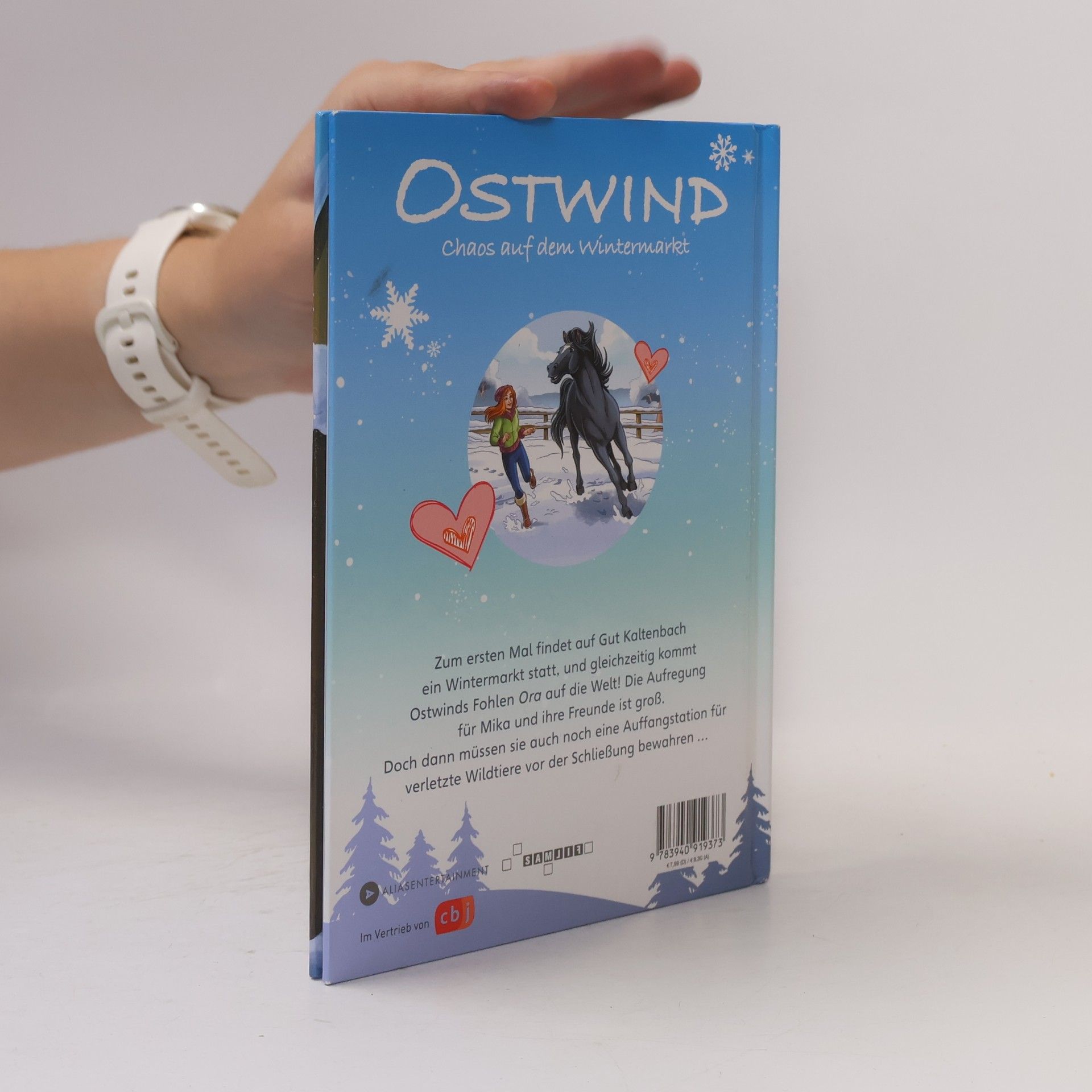 Thilo Petry-Lassak OSTWIND - Chaos auf dem Wintermarkt