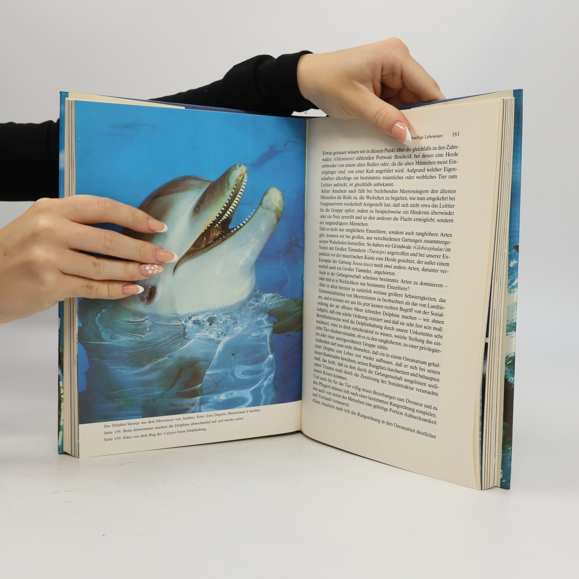 Jacques Yves Cousteau Geheimnisse und Rätsel des Meeres