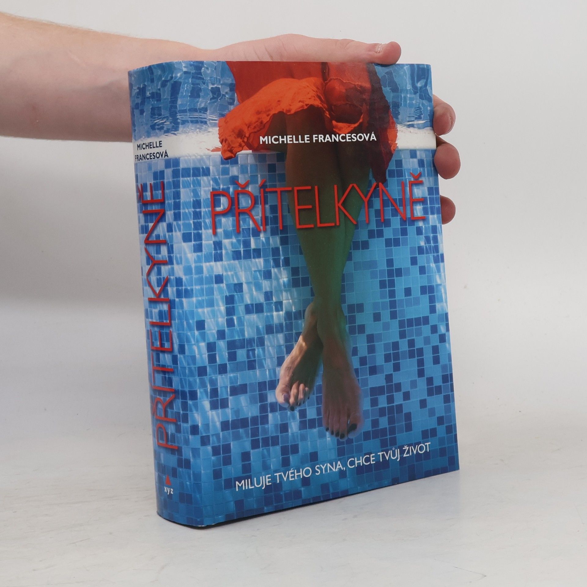 Michelle Frances Přítelkyně