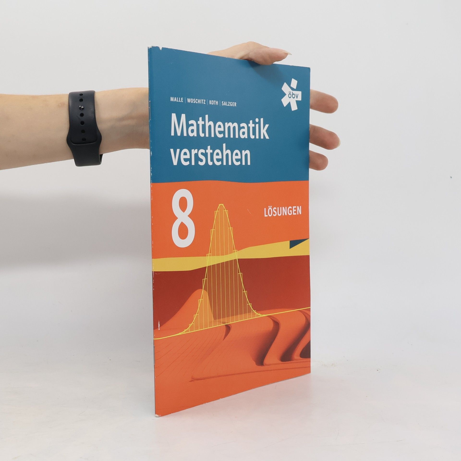 Mathematik verstehen 8 Lösungen