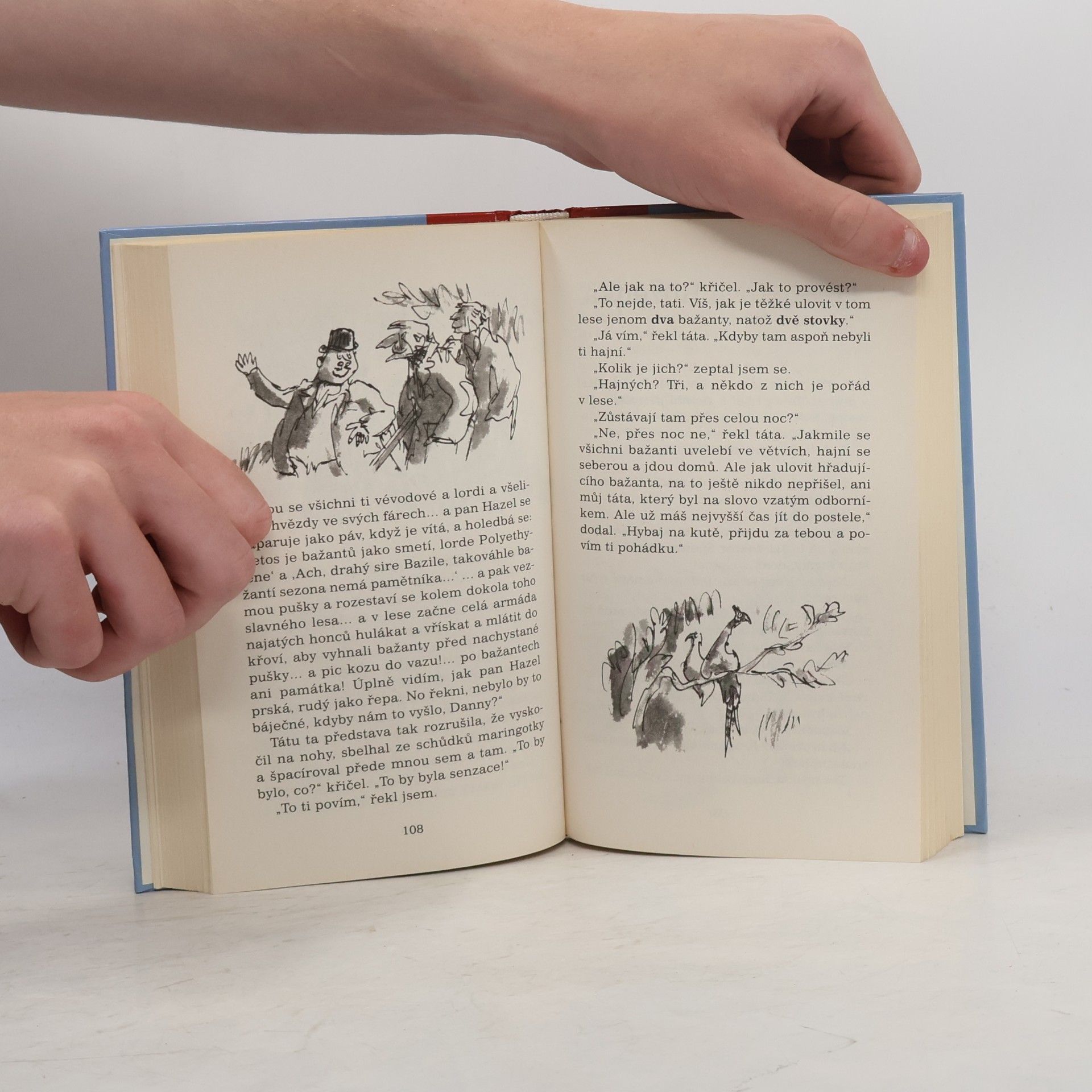 Roald Dahl Danny, mistr světa