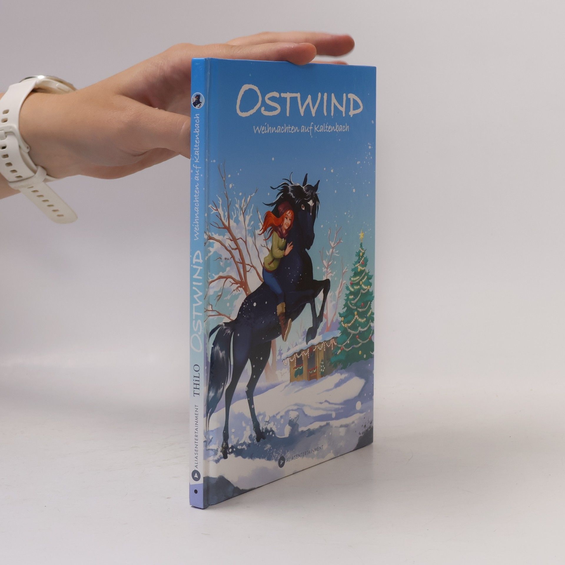 Thilo Petry-Lassak Ostwind - Weihnachten auf Kaltenbach