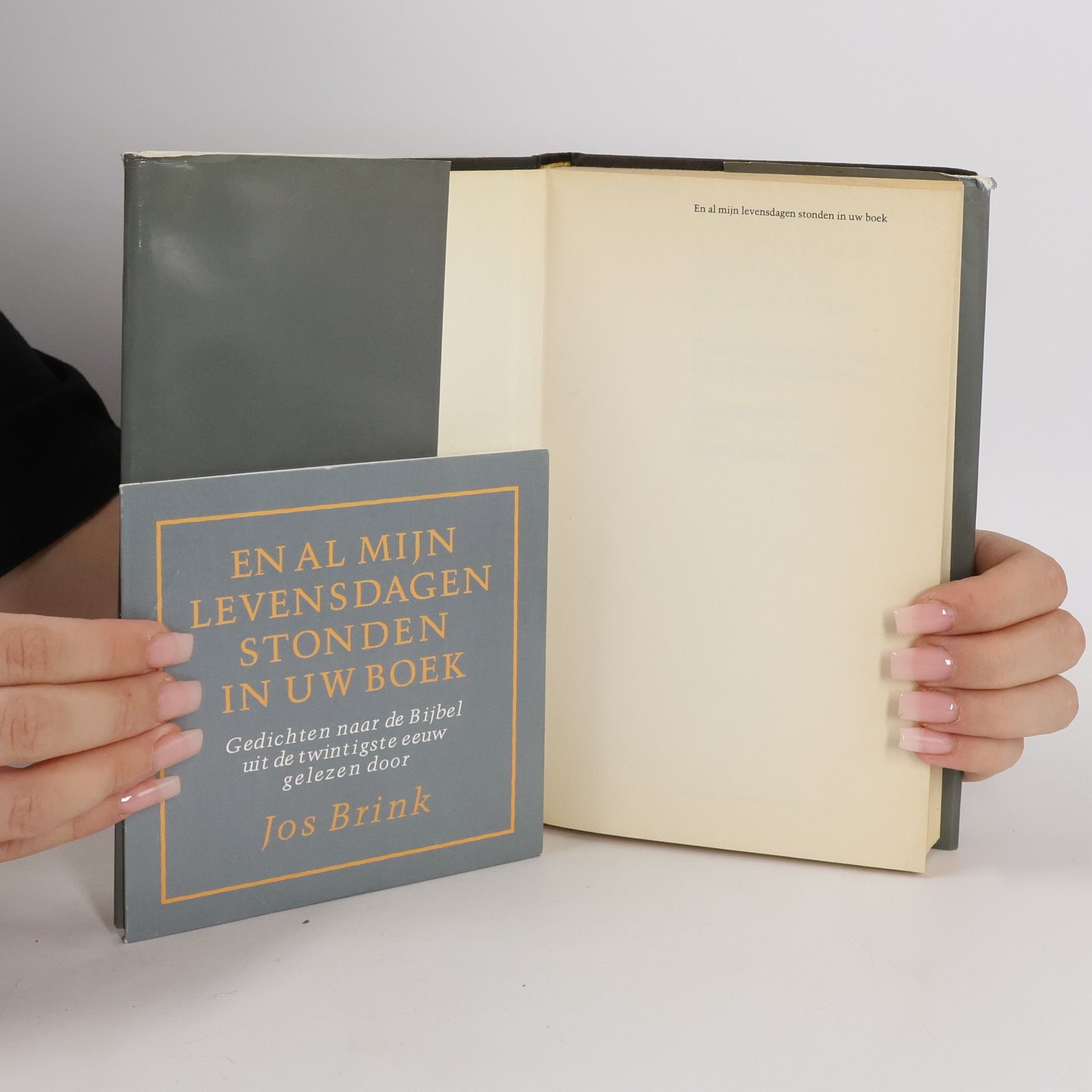 Henricus Josephus Gerardus Hubertus Oosterhuis En al mijn levensdagen stonden in uw boek