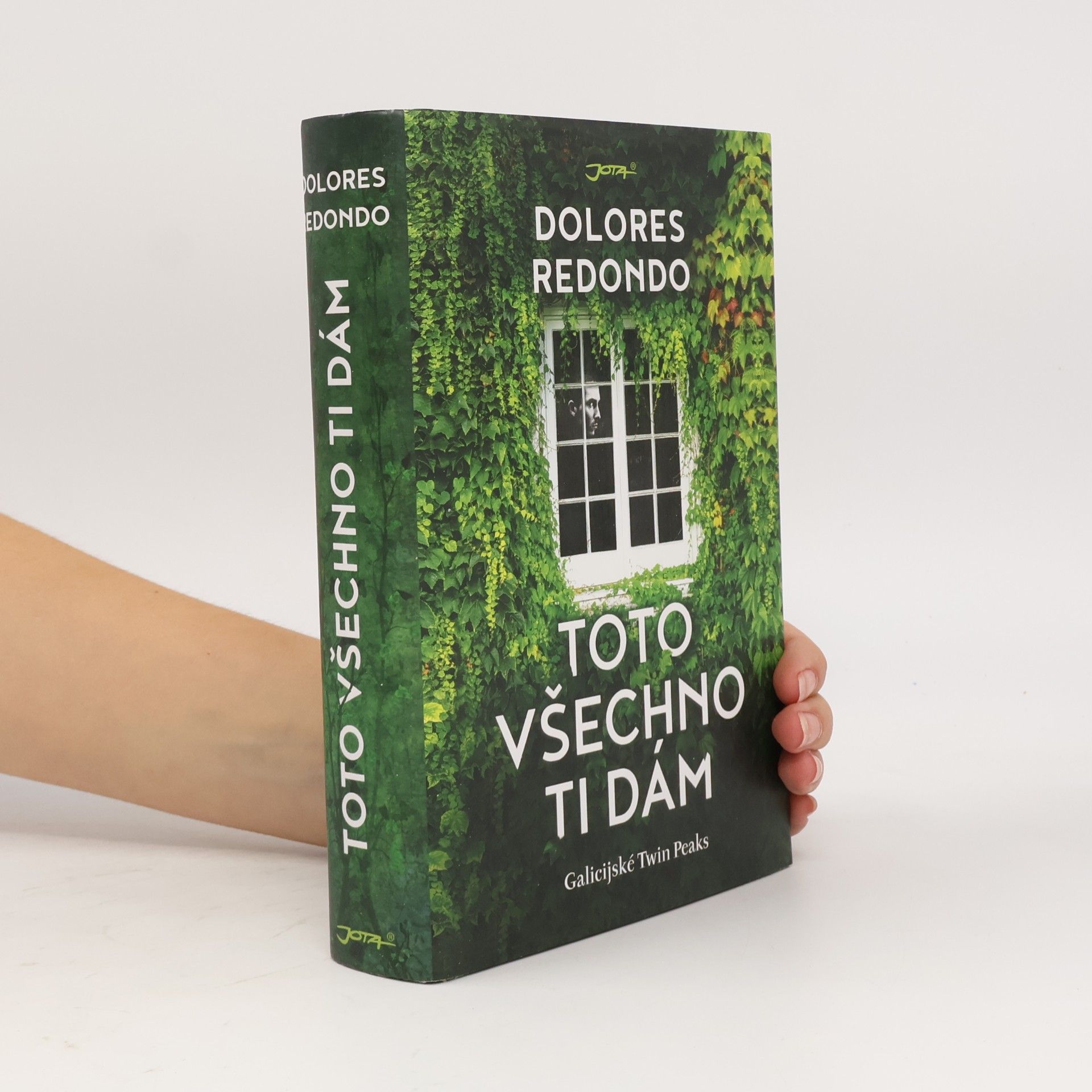 Dolores Redondo Toto všechno ti dám