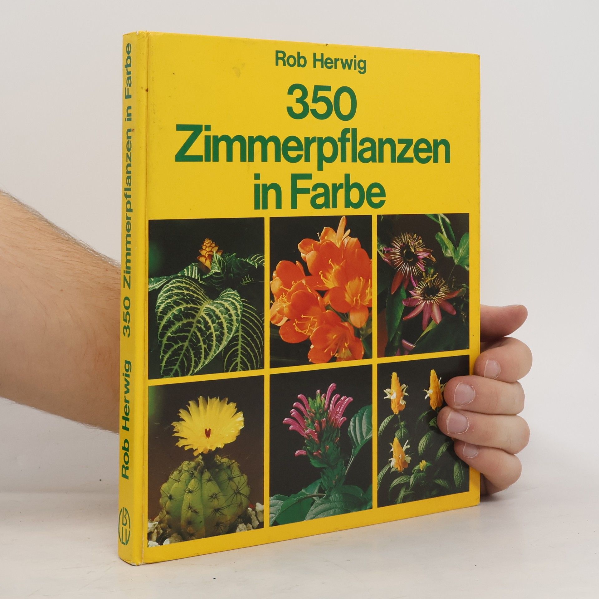 Rob Hewig 350 Zimmerpflanzen in Farbe