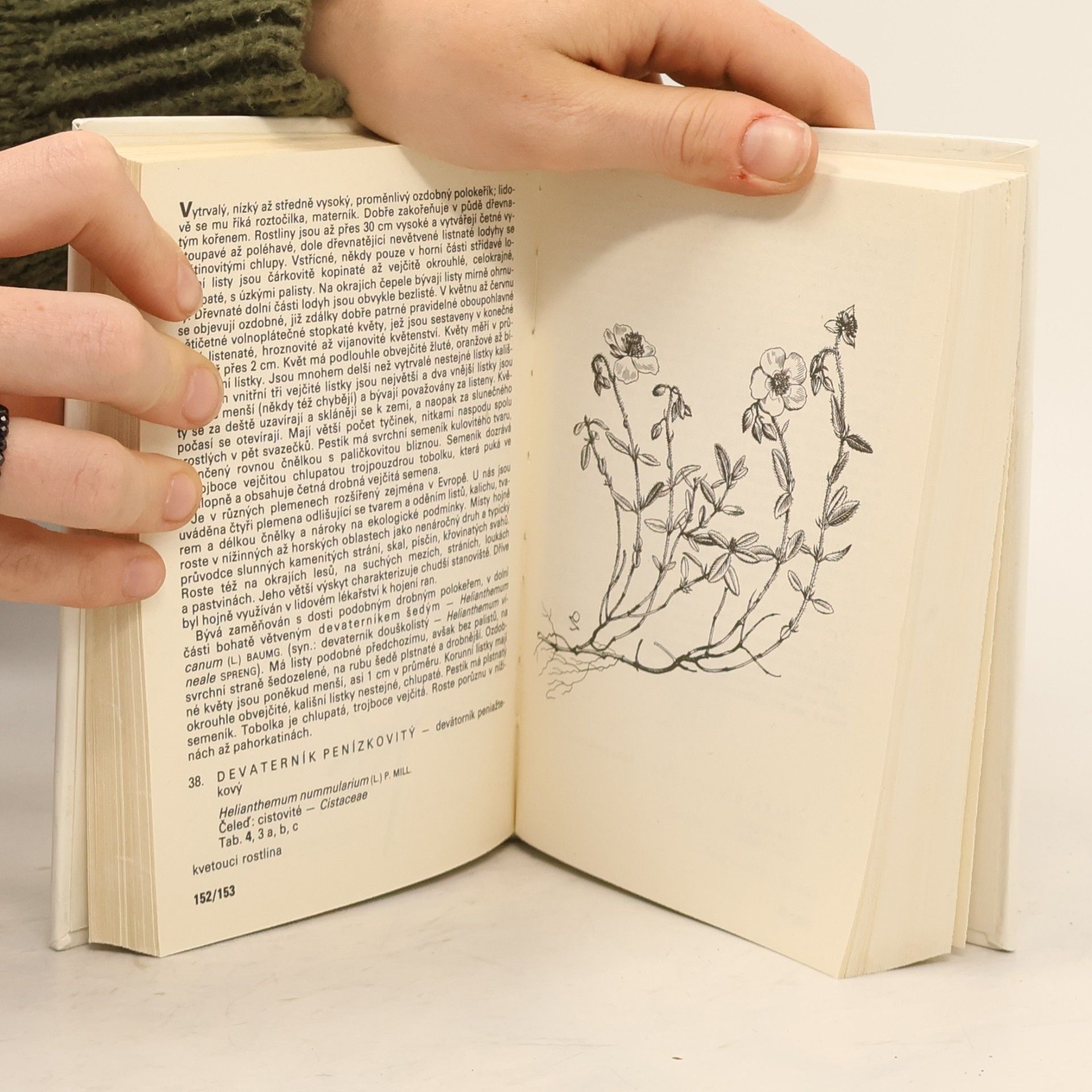 František Hron Rostliny strání, skal, křovin a lesů : kapesní atlas