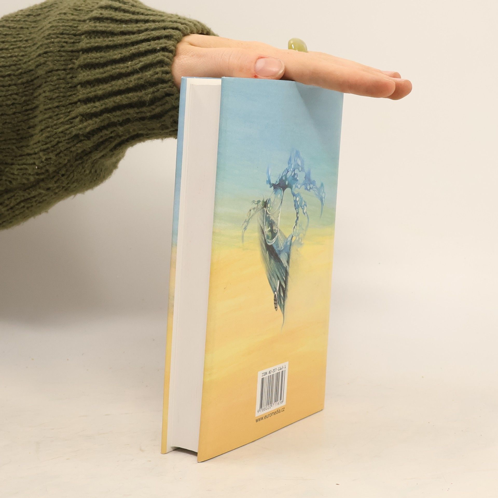 John Irving Pitná kúra