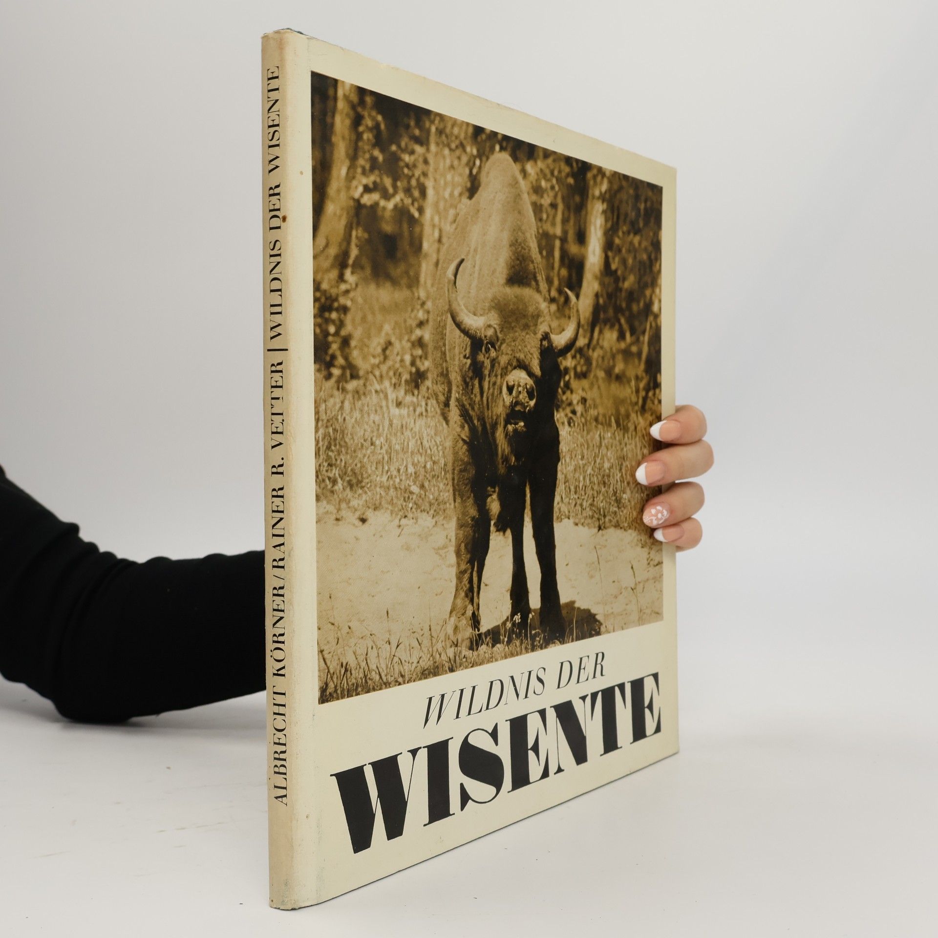 Collectif d'auteurs Wildnis der Wisente