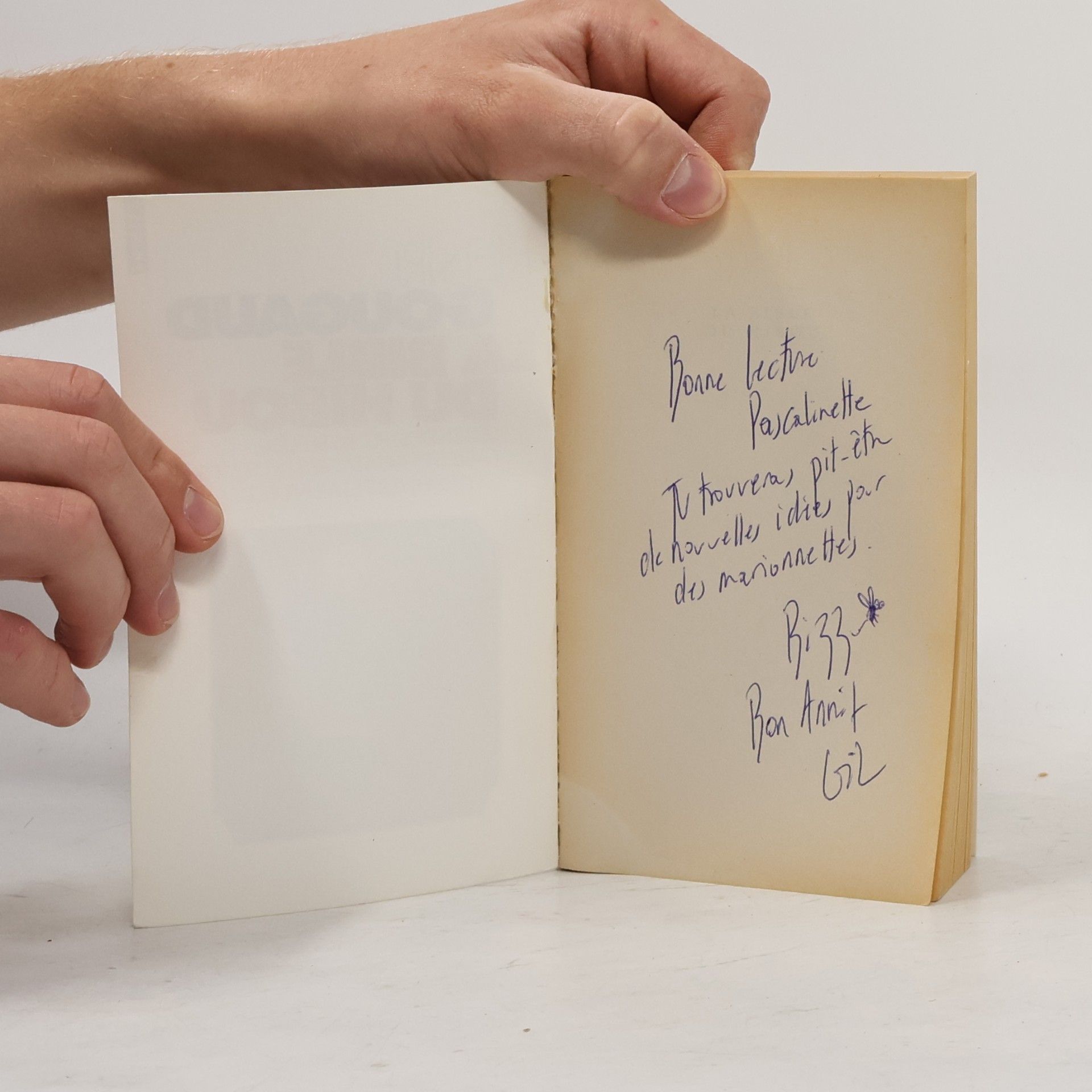 Henri Gougaud La bible du hibou
