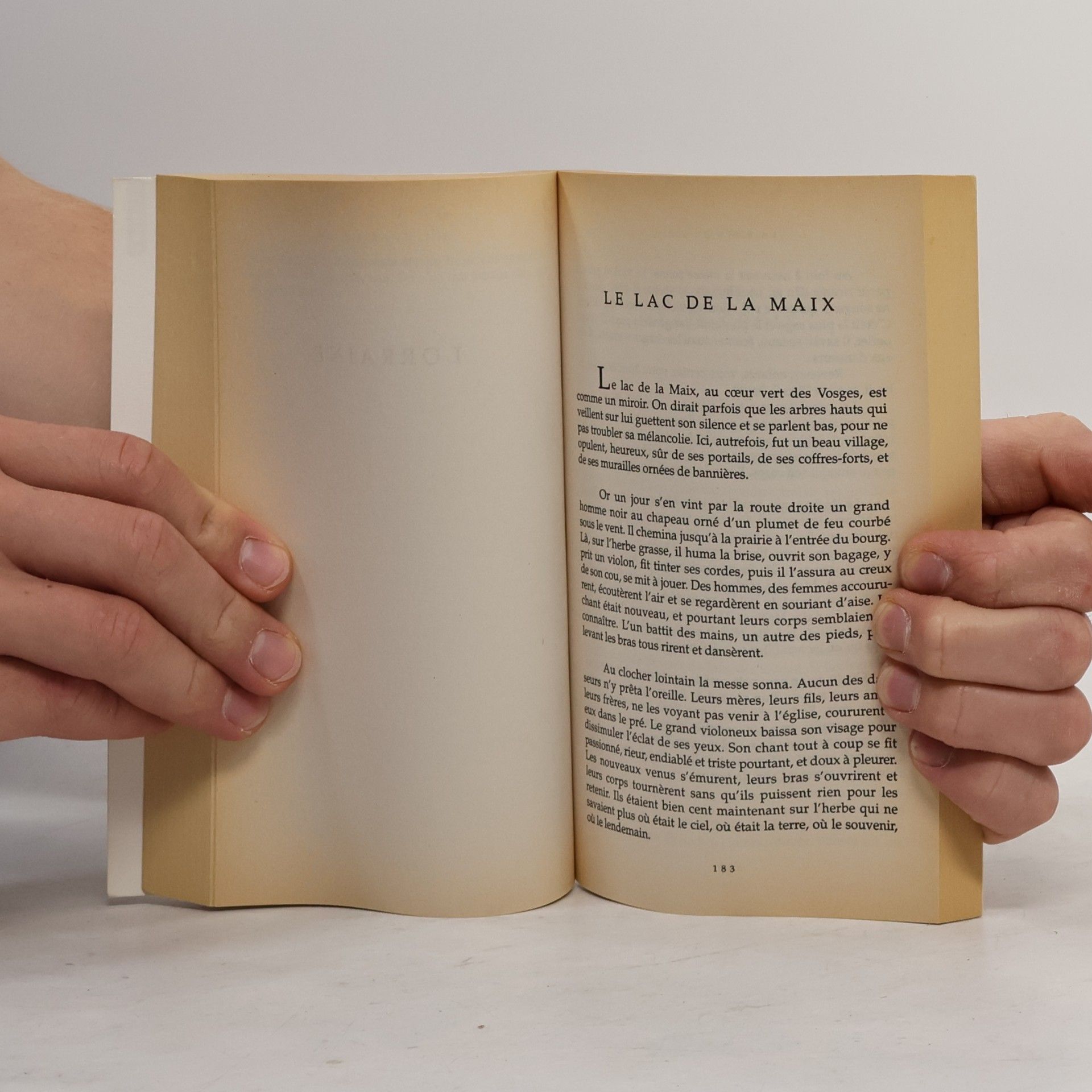 Henri Gougaud La bible du hibou