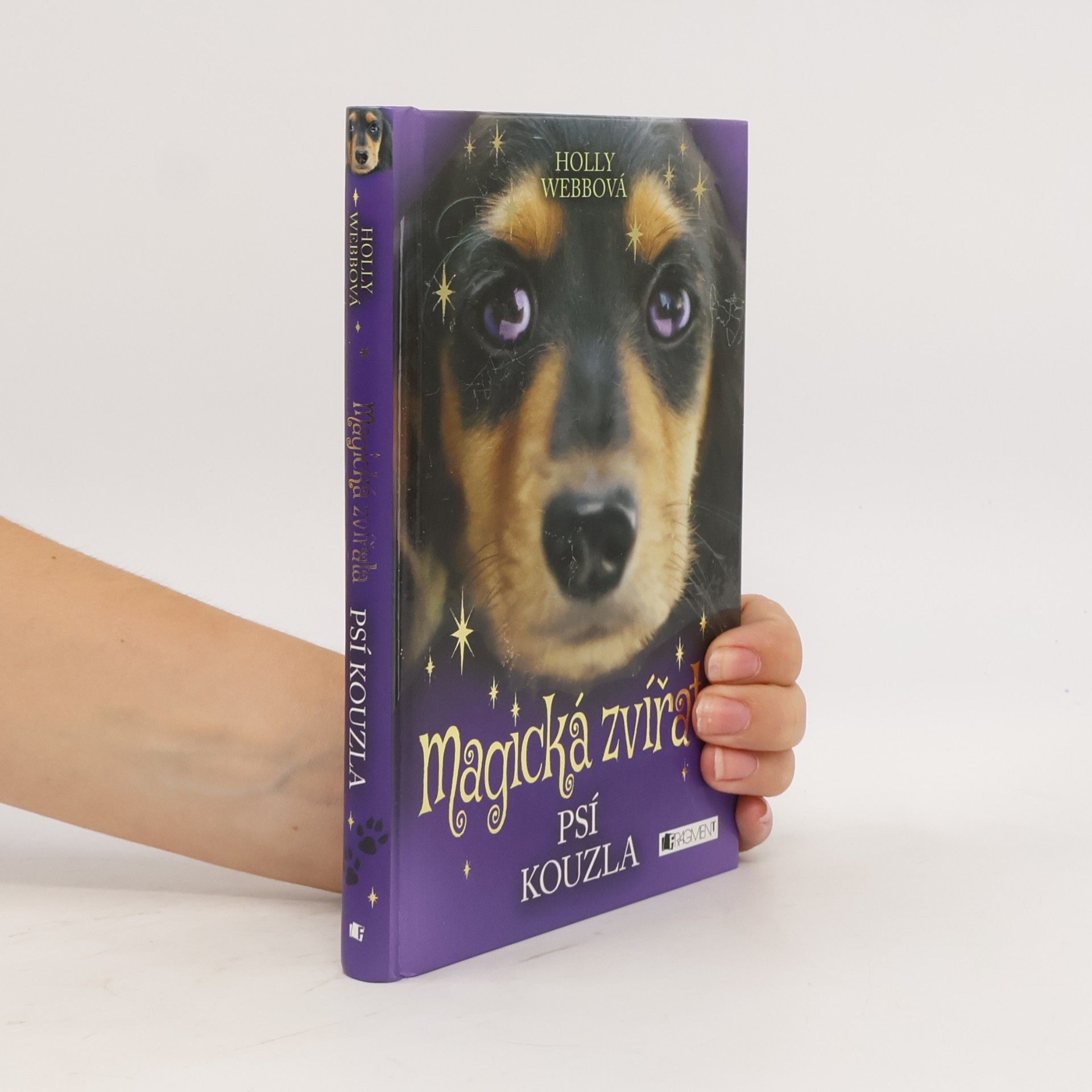 Holly Webb Magická zvířata. Psí kouzla