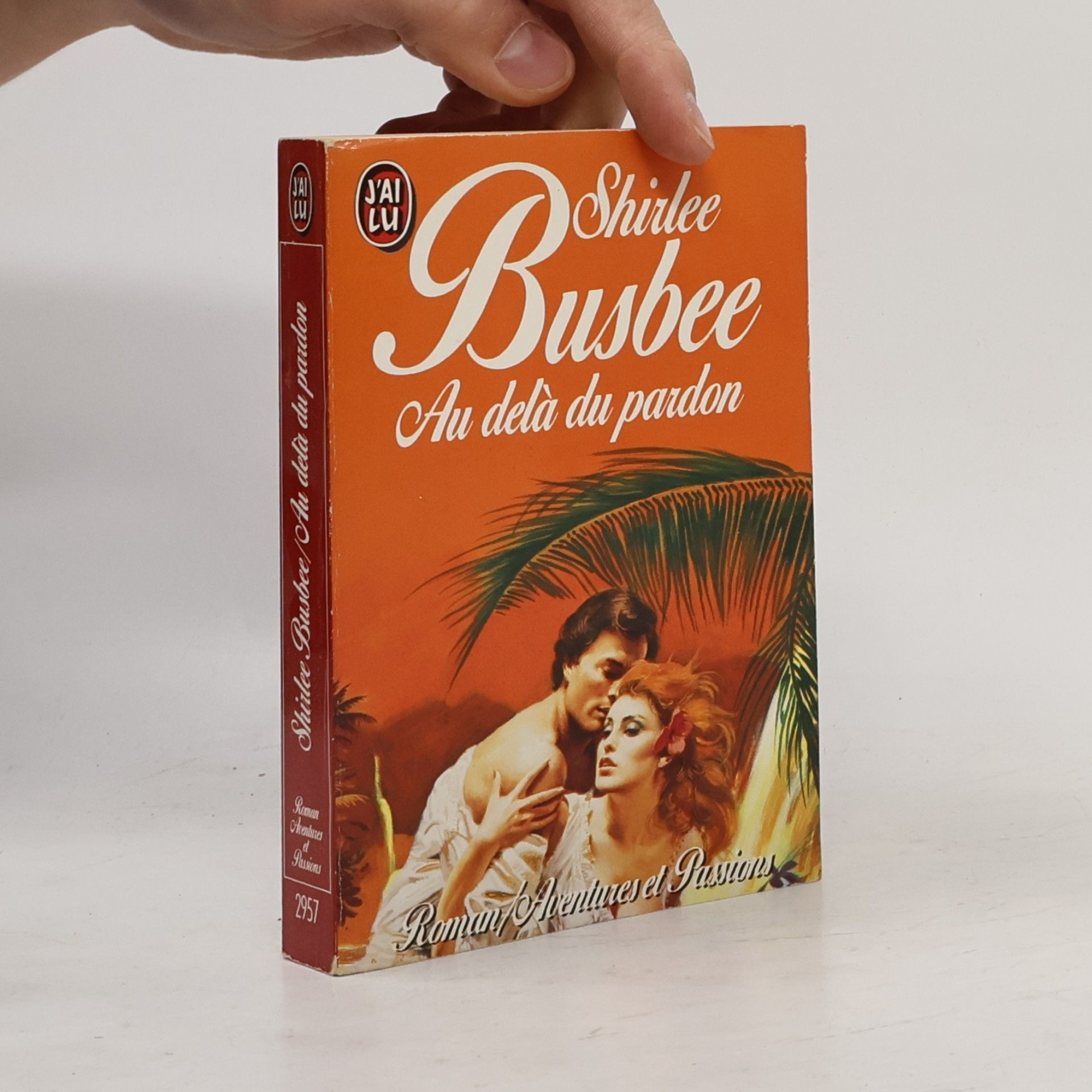 Shirlee Busbee Au-delà du pardon