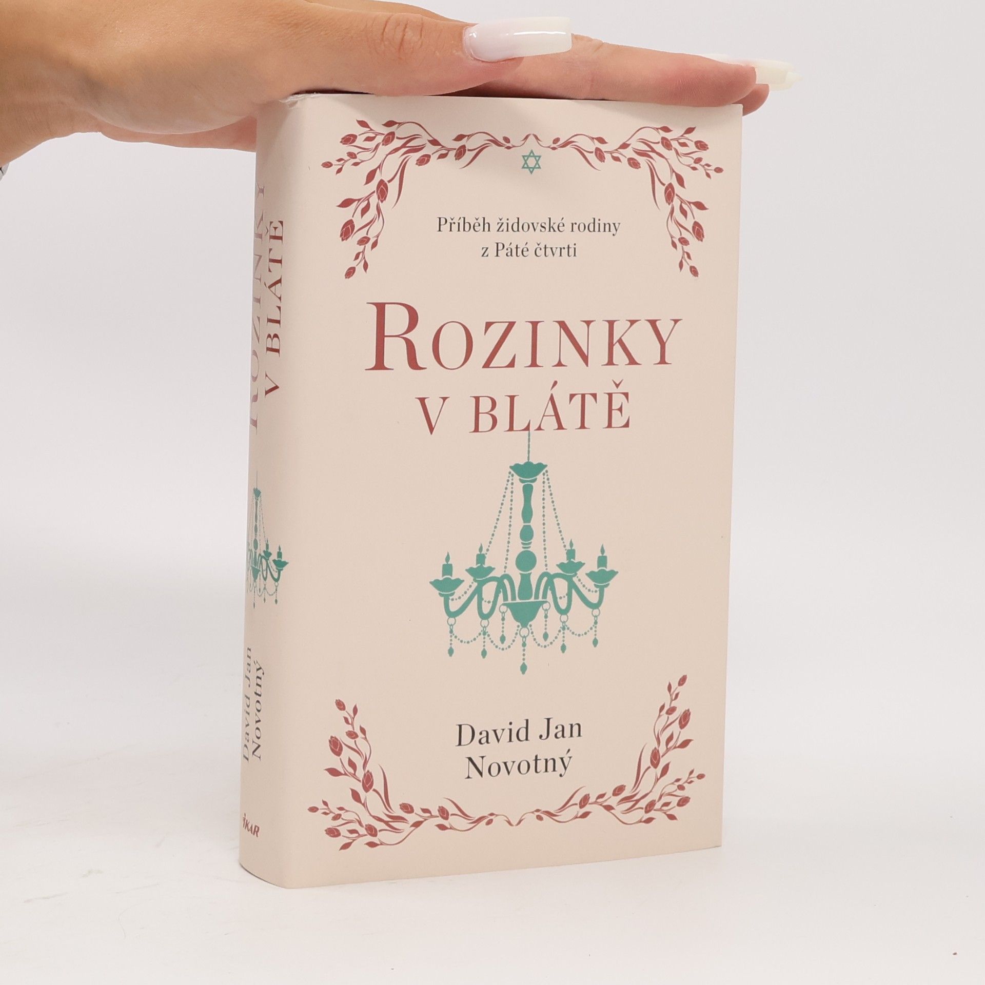 David Jan Novotný Rozinky v blátě