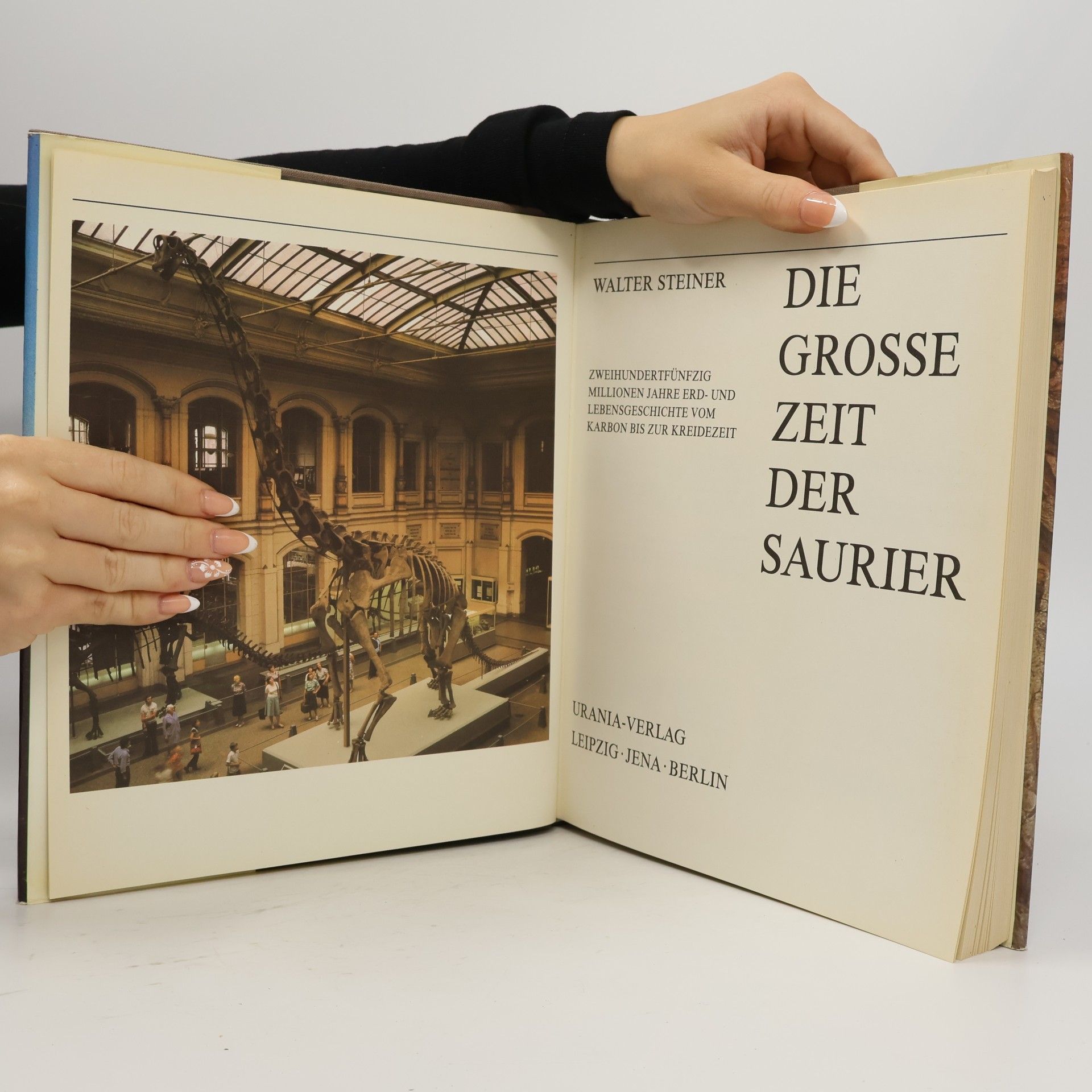Walter Steiner Die große Zeit der Saurier
