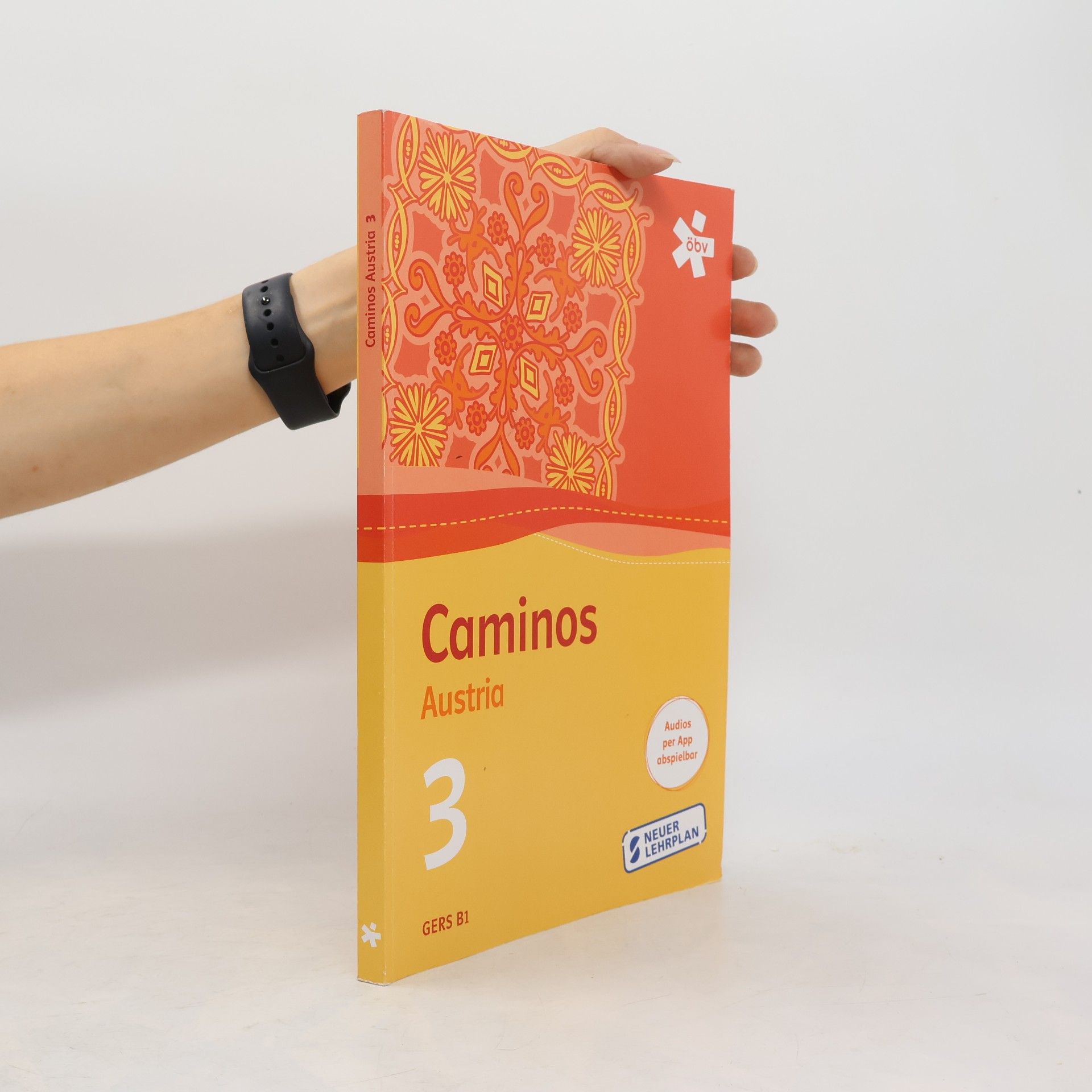 Autorenkollektiv Caminos Austria