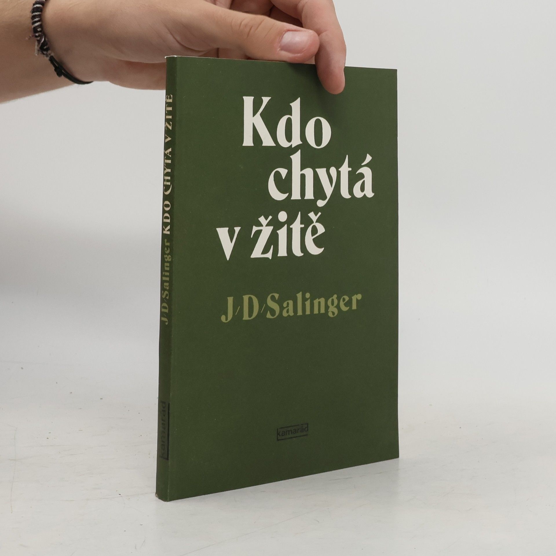J. D. Salinger Kdo chytá v žitě