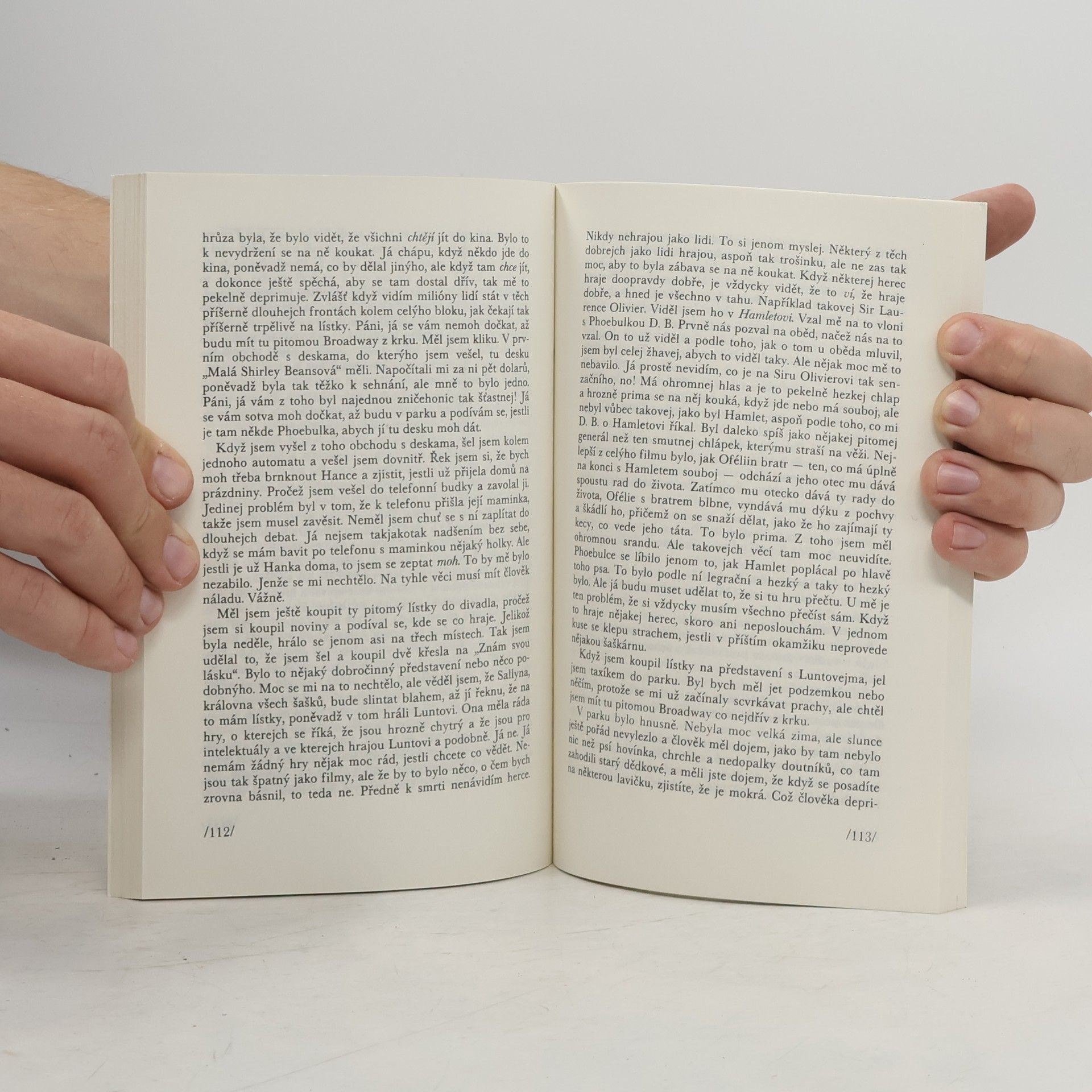 J. D. Salinger Kdo chytá v žitě