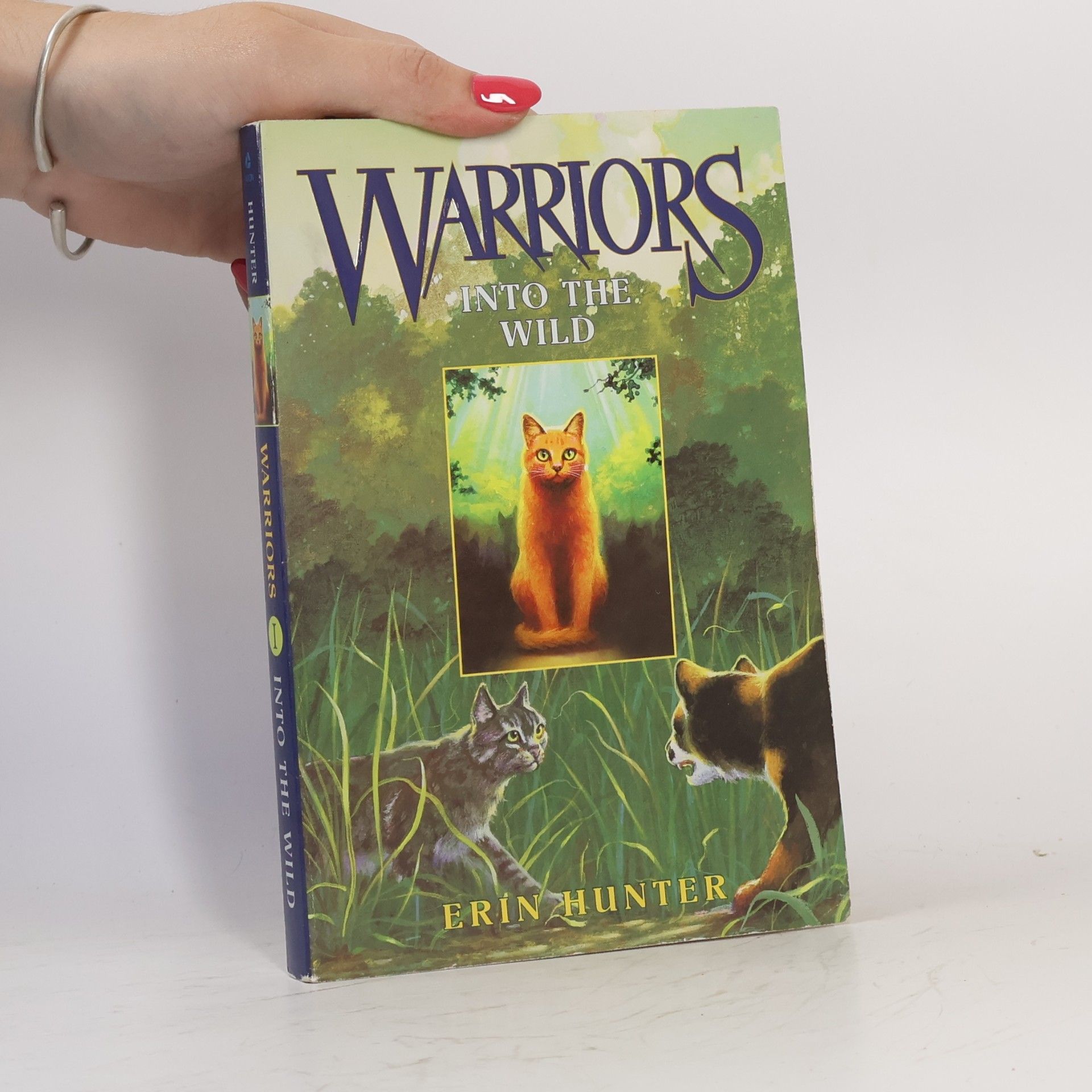 Erin Hunter Warriors 1 Into the Wild