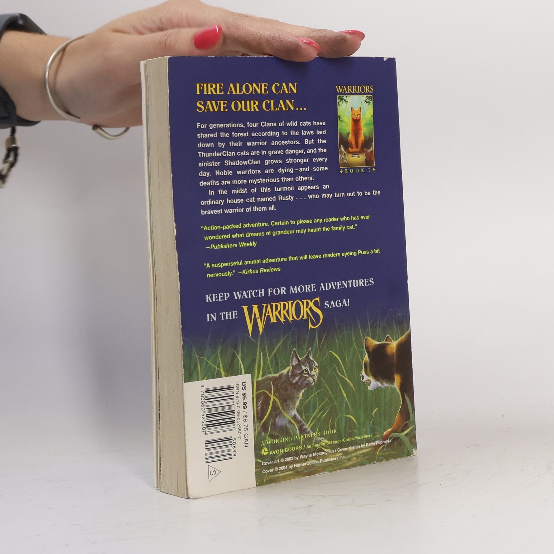 Erin Hunter Warriors 1 Into the Wild