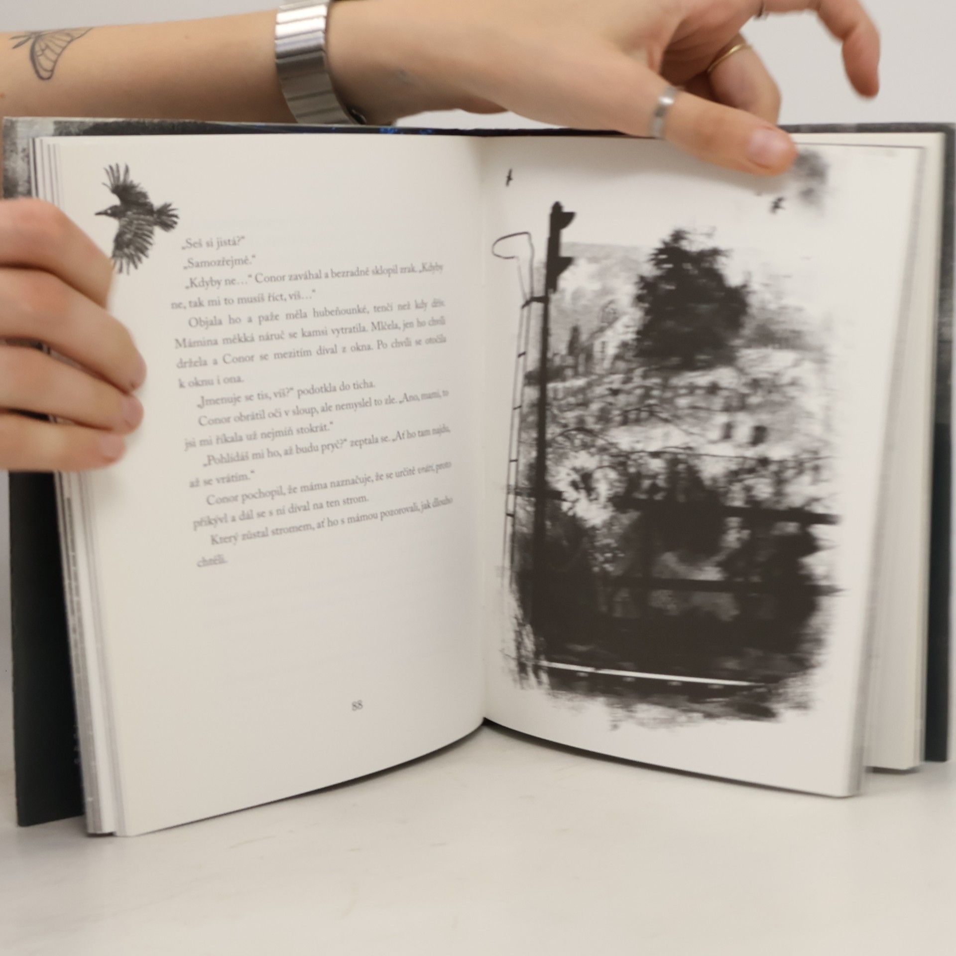 Patrick Ness Volání netvora