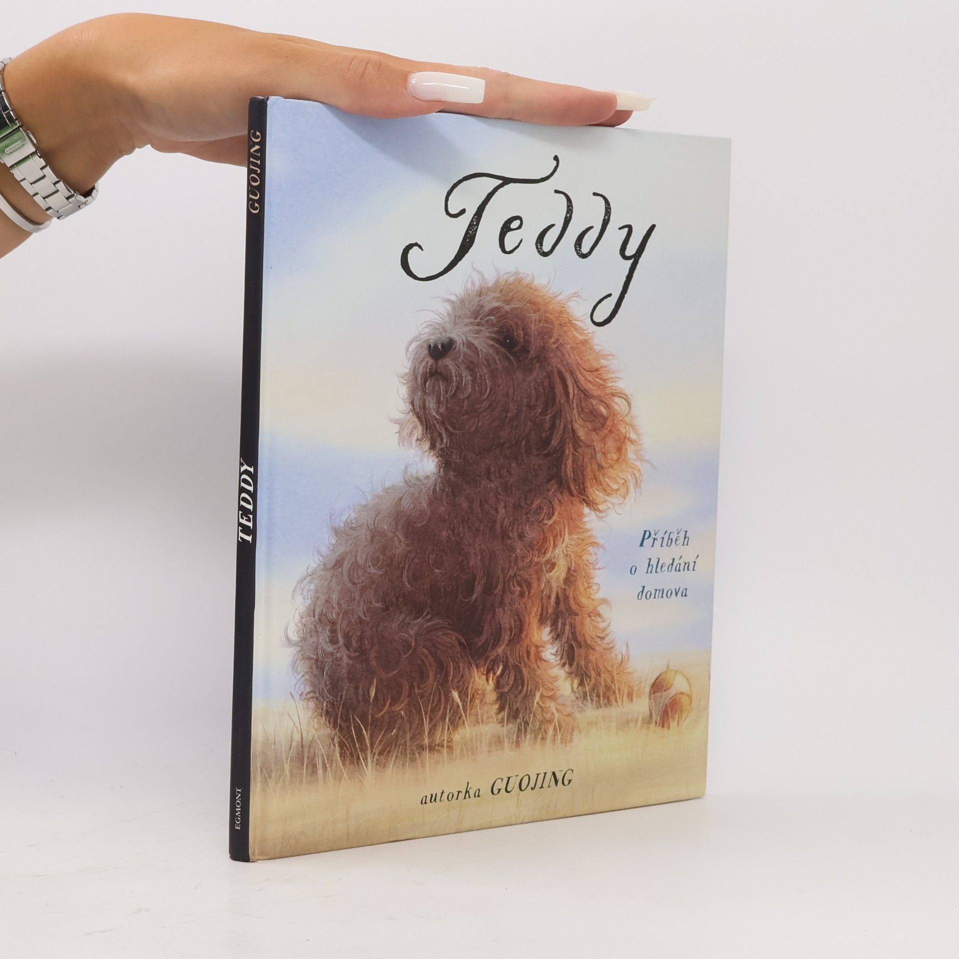 Guojing Teddy : příběh o hledání domova