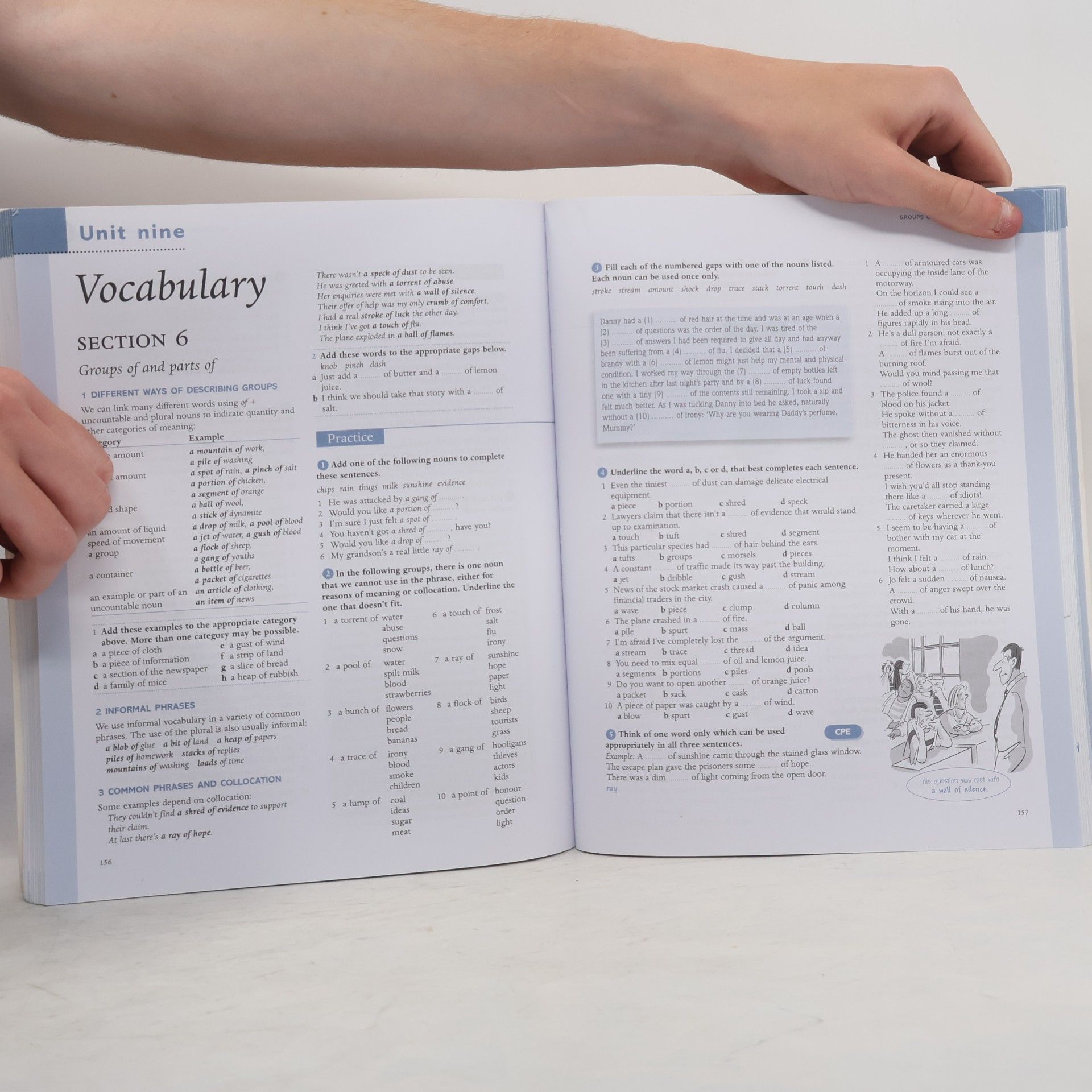 Richard Side Grammar and Vocabulary for Cambridge Advanced and Proficiency