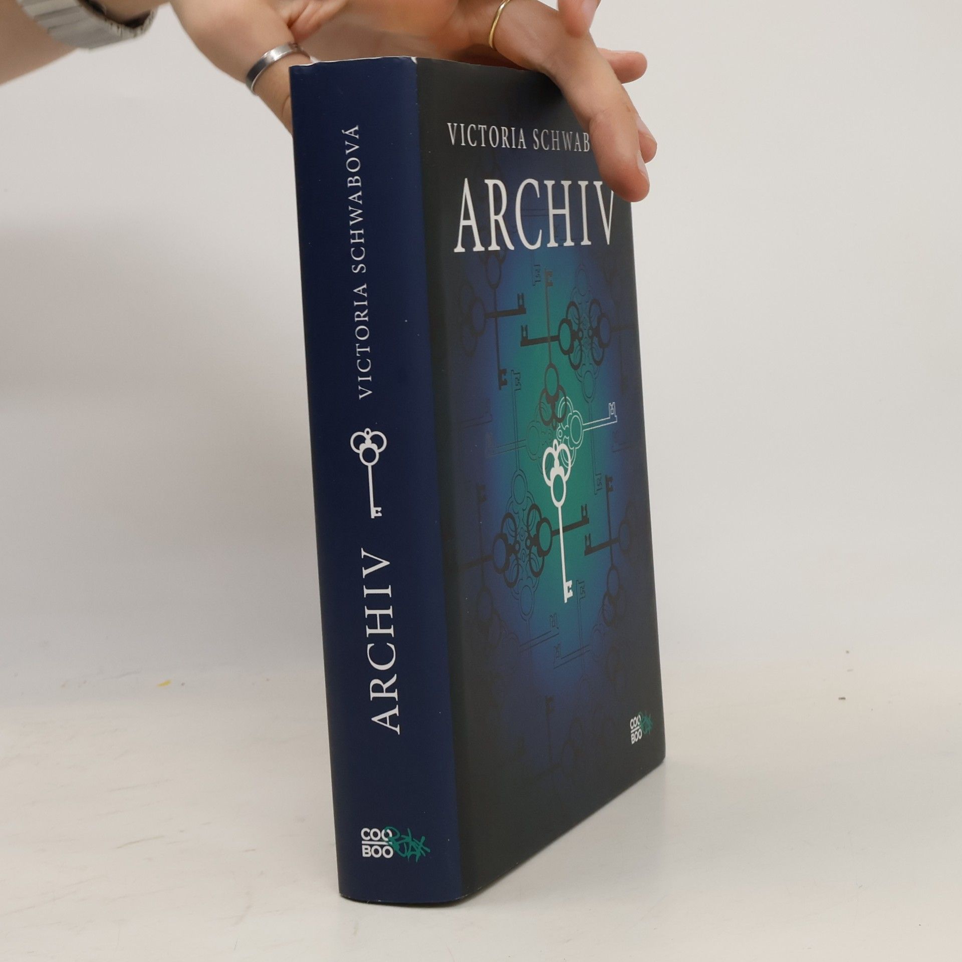 V. E. Schwab Archiv