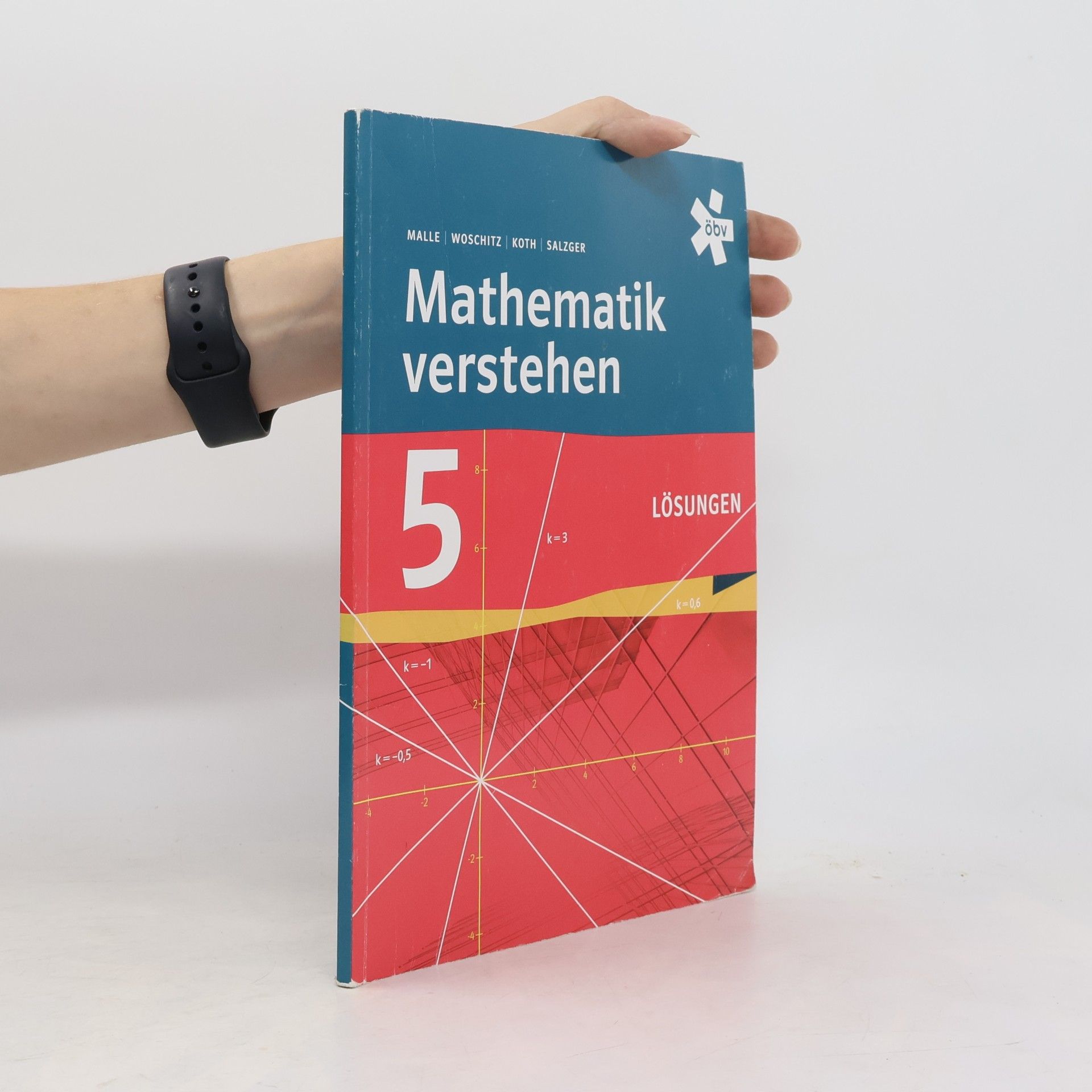 Günther Malle Mathematik verstehen