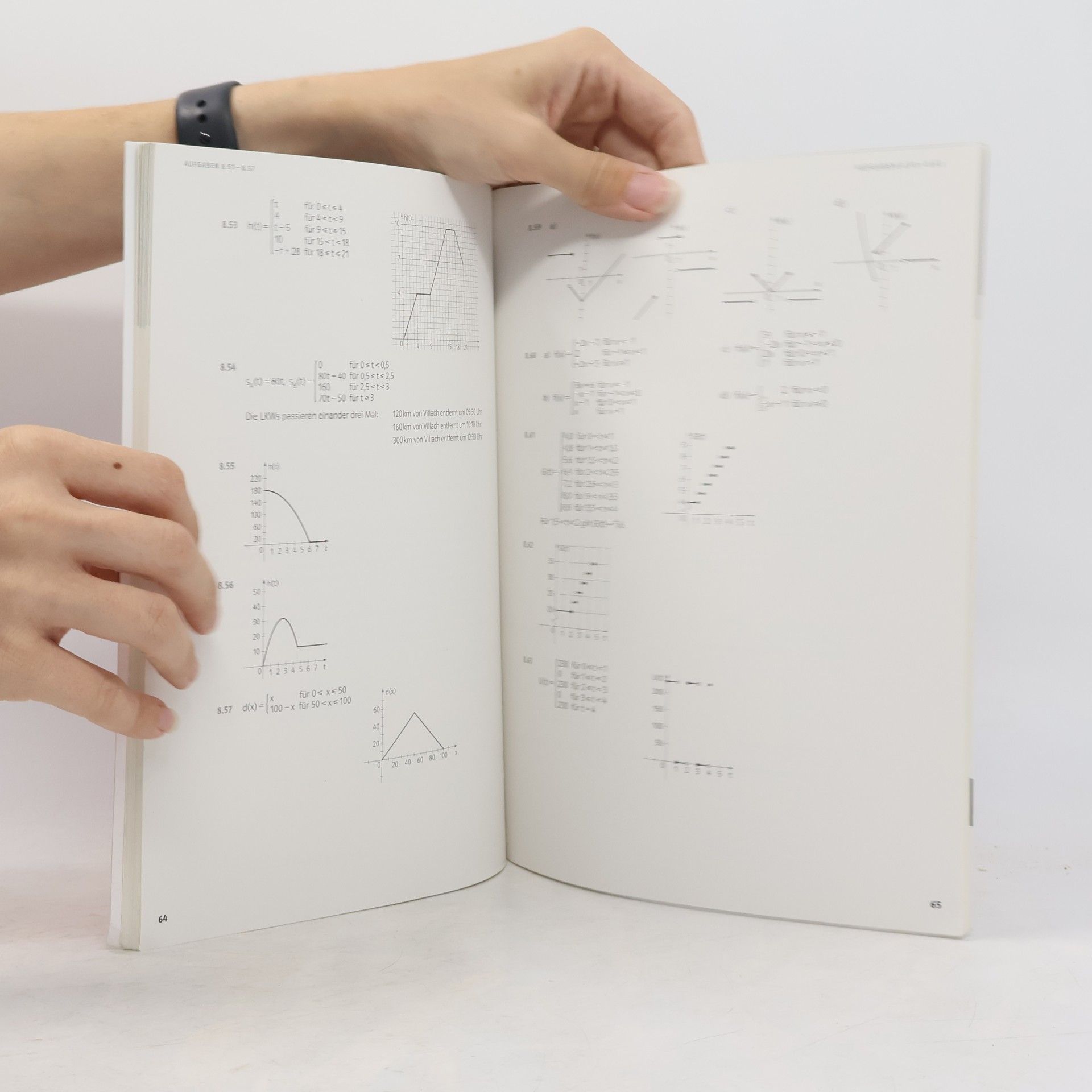 Günther Malle Mathematik verstehen