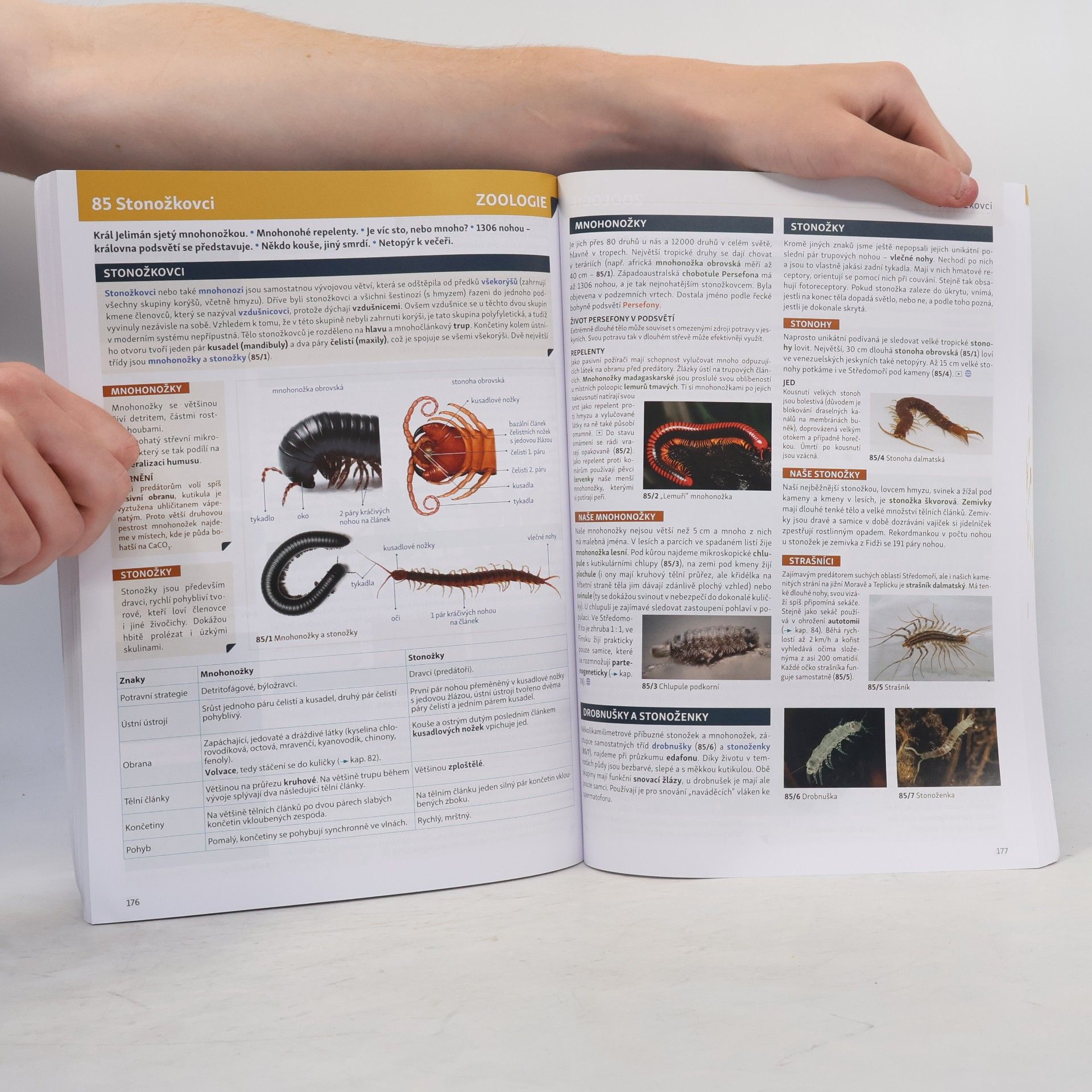 Petr Šíma Biologie v souvislostech