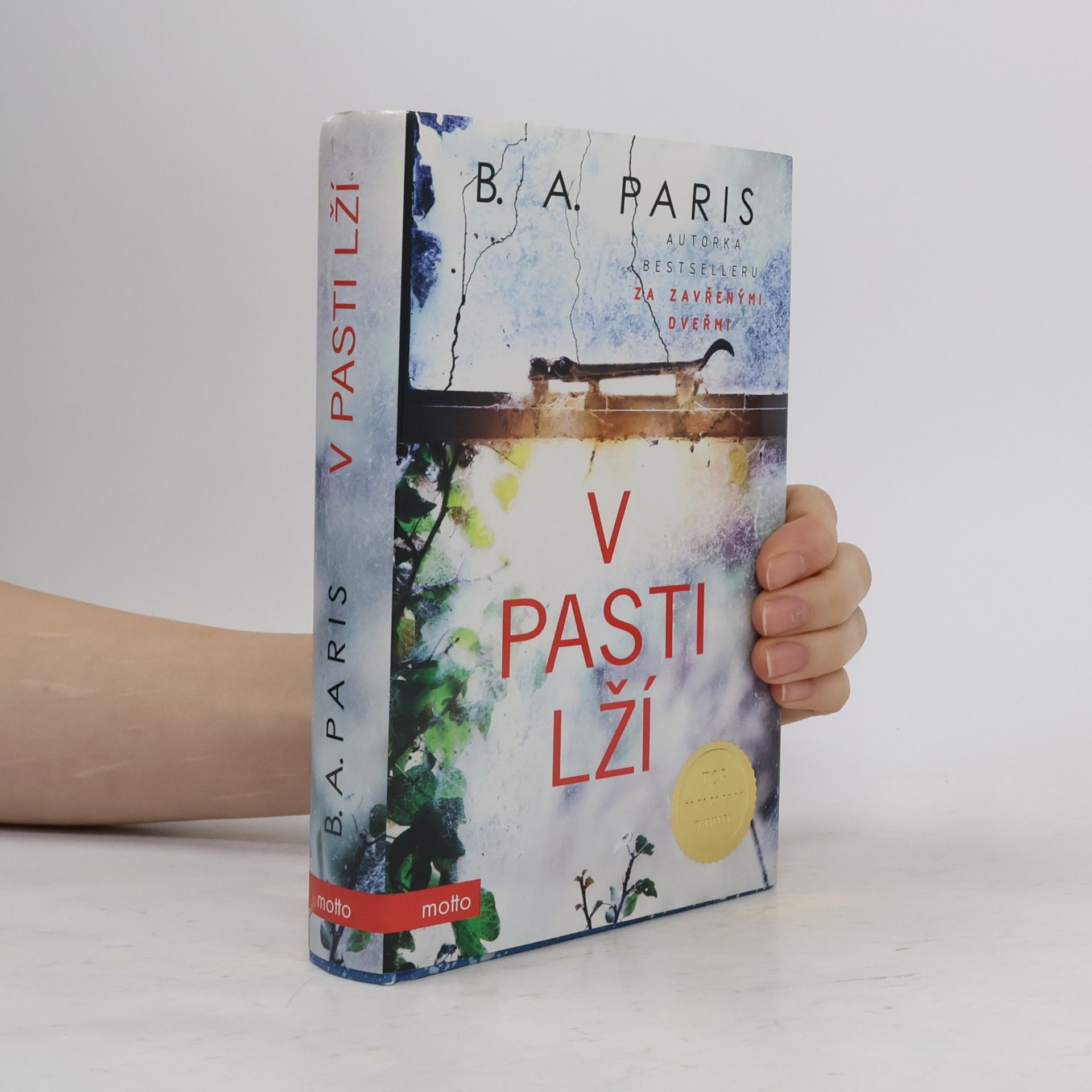 B.A. Paris V pasti lží