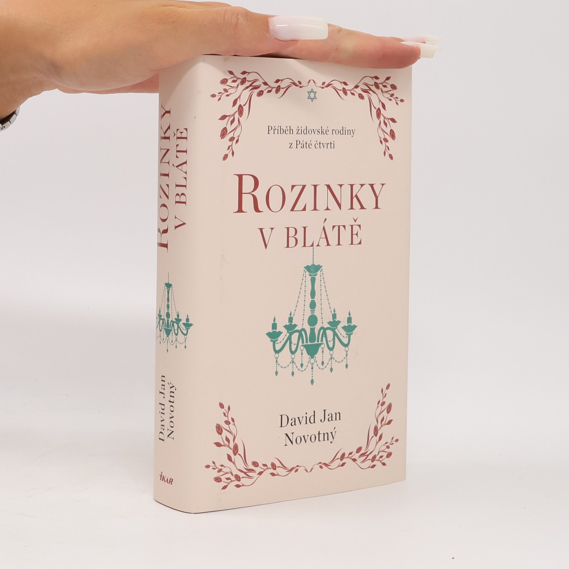David Jan Novotný Rozinky v blátě