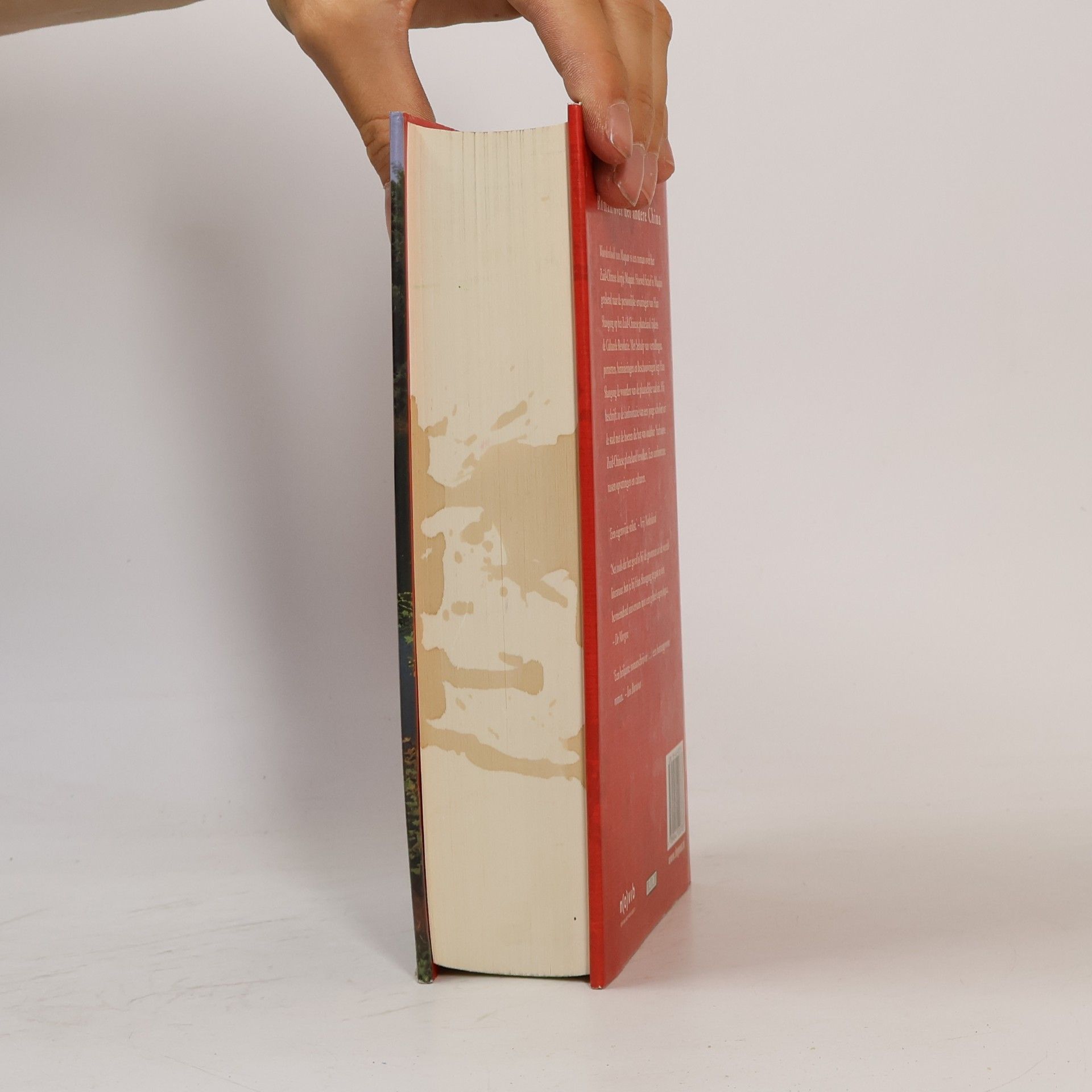 Shaogong Han Woordenboek van Maqiao