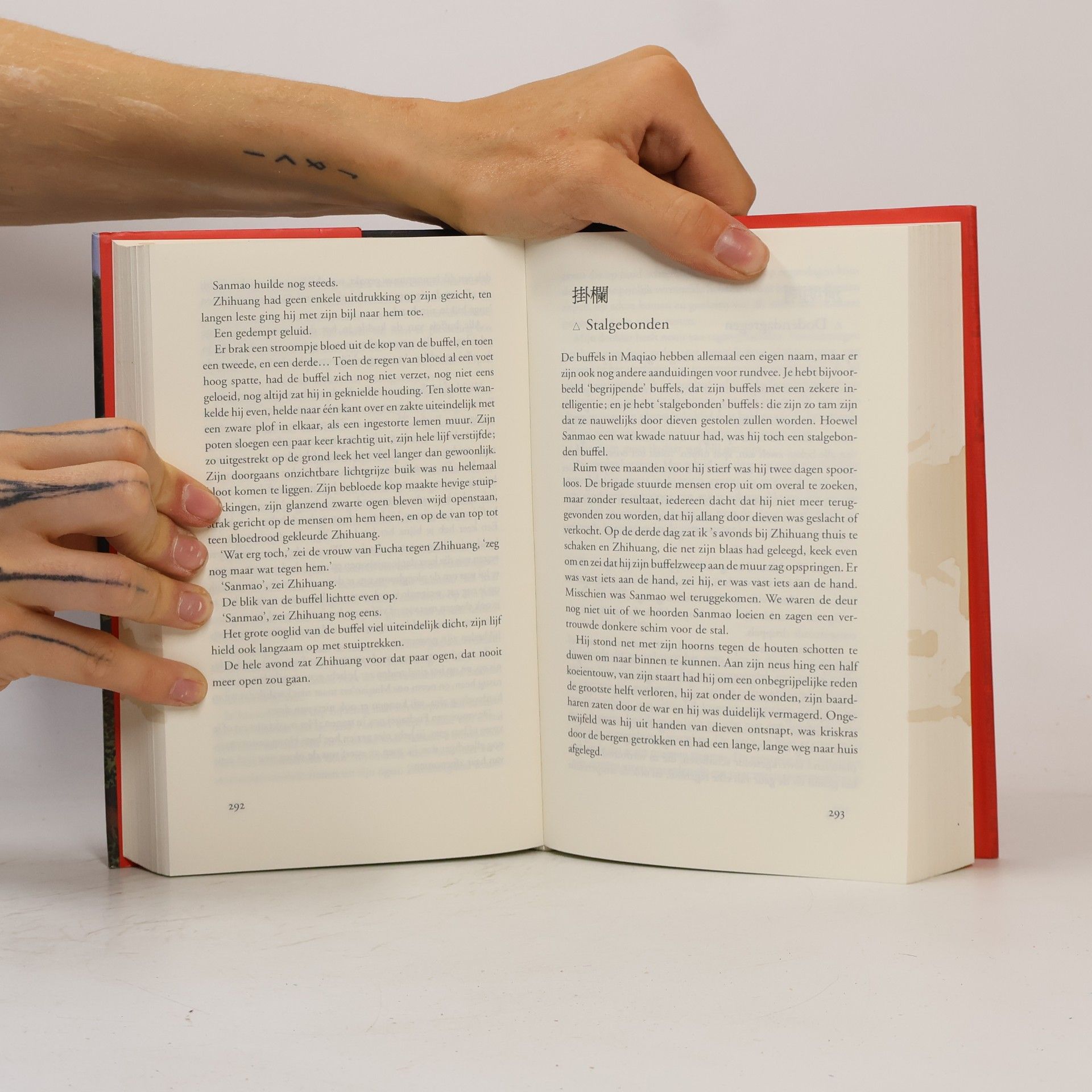 Shaogong Han Woordenboek van Maqiao