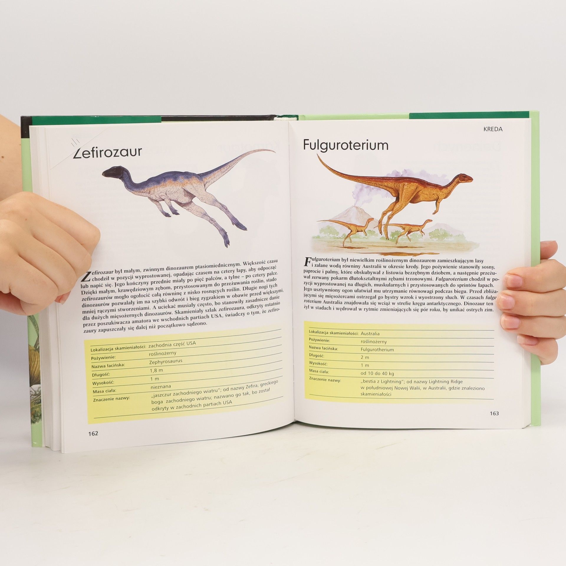 Gerrie McCall Przewodnik eksperta: Dinozaury od Allozaura do tyranozaura