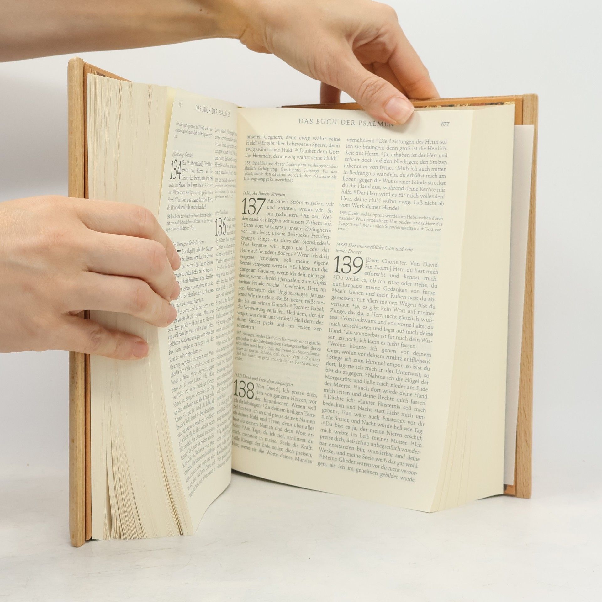 Vinzenz Hamp Die Bibel