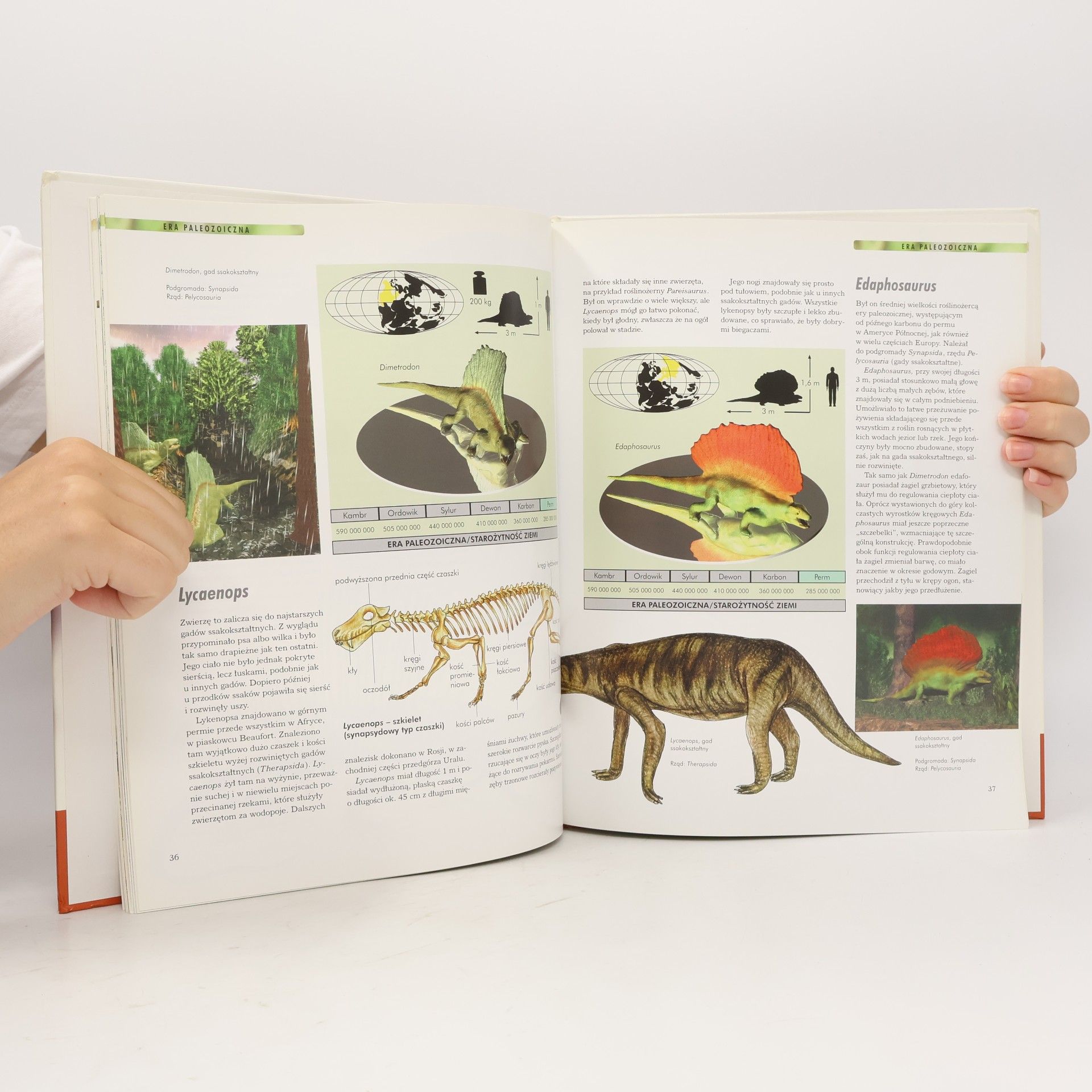 Autores varios 1000 Erfindungen