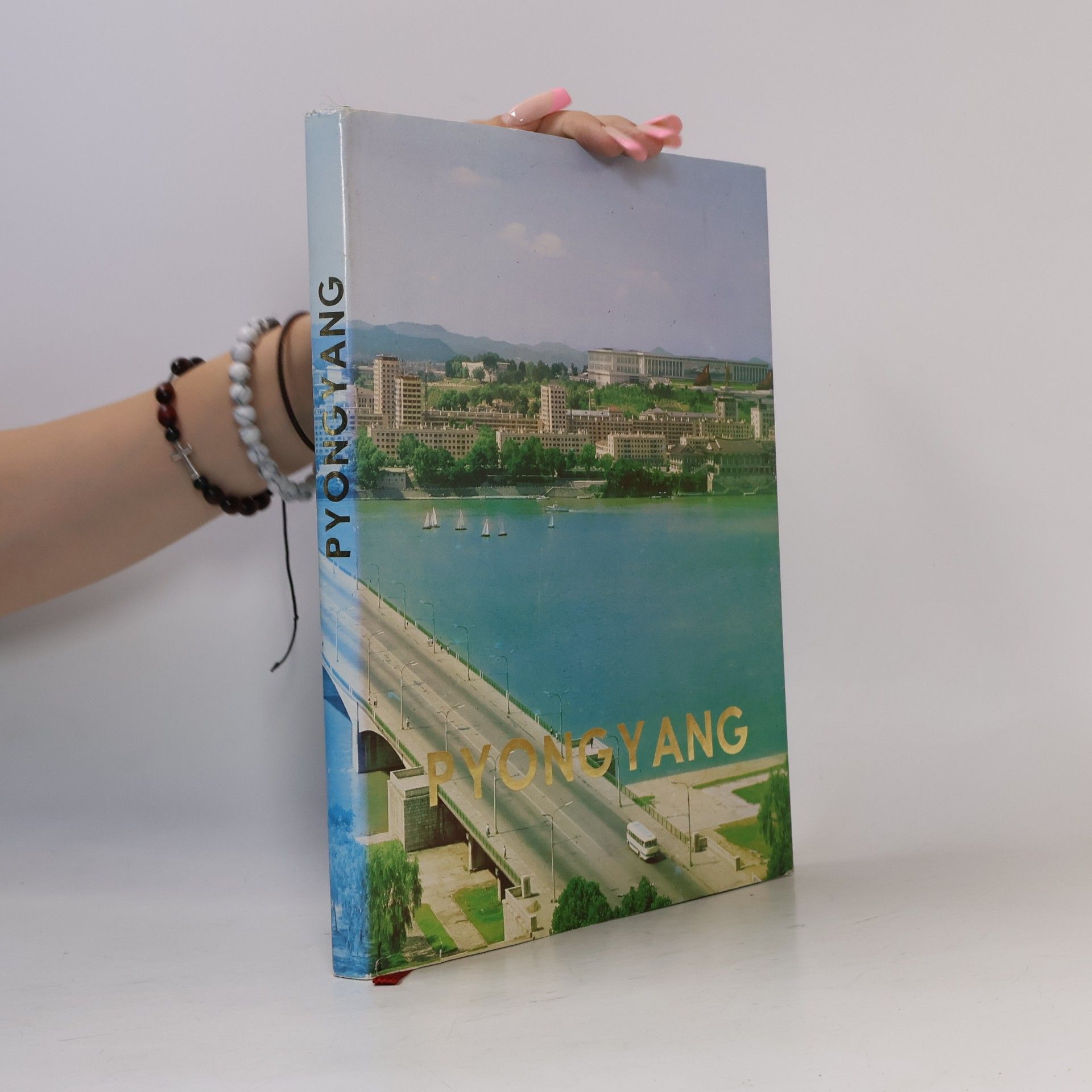 Kolektiv autorů Pyongyang