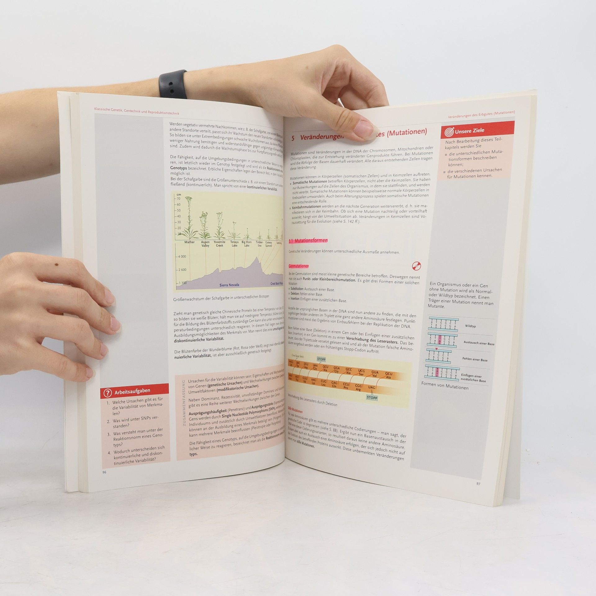Erika Hödl HLW/HLT - IV/II: Biologie und Ökologie