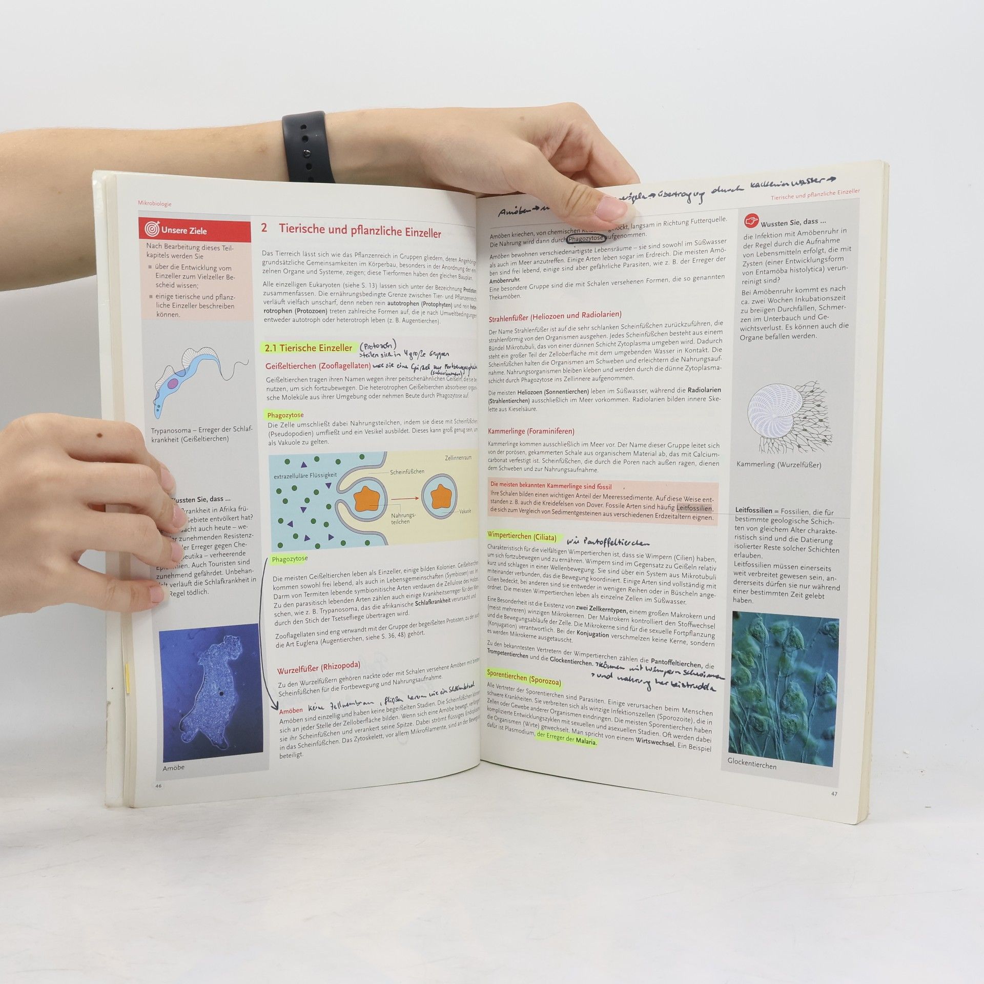 Erika Hödl HLW/HLT - 3: Biologie und Ökologie