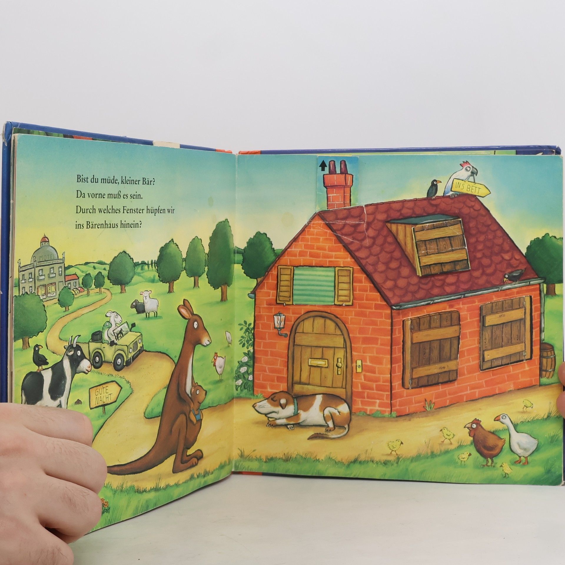 Axel Scheffler Wenn kleine Bären schlafen gehen
