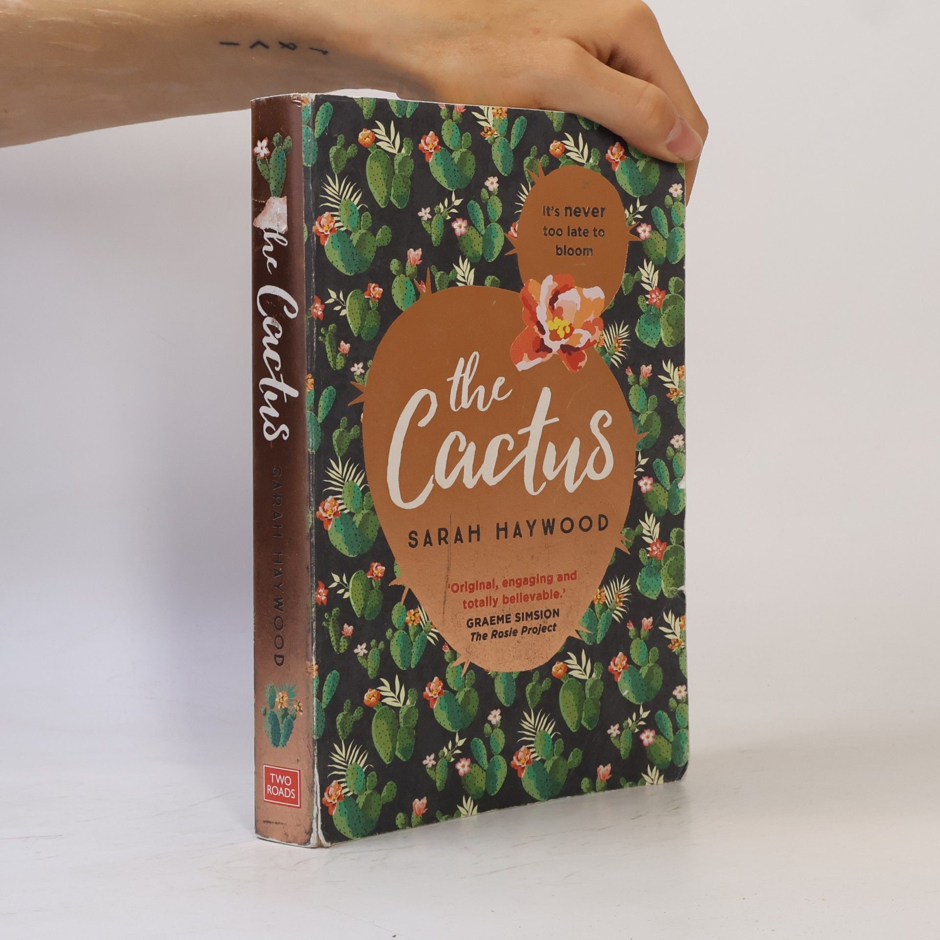 Sarah Haywood Cactus