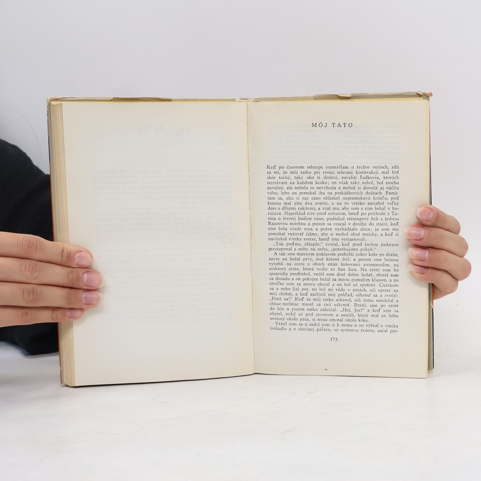 Ernest Hemingway 49 poviedok