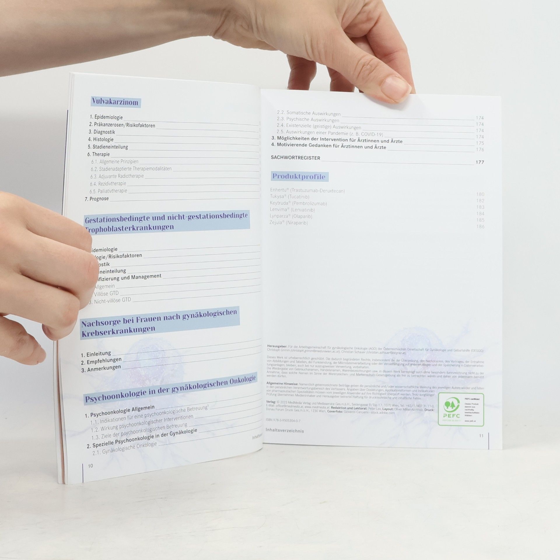 Christoph Grimm Manual der Gynäkologischen Onkologie