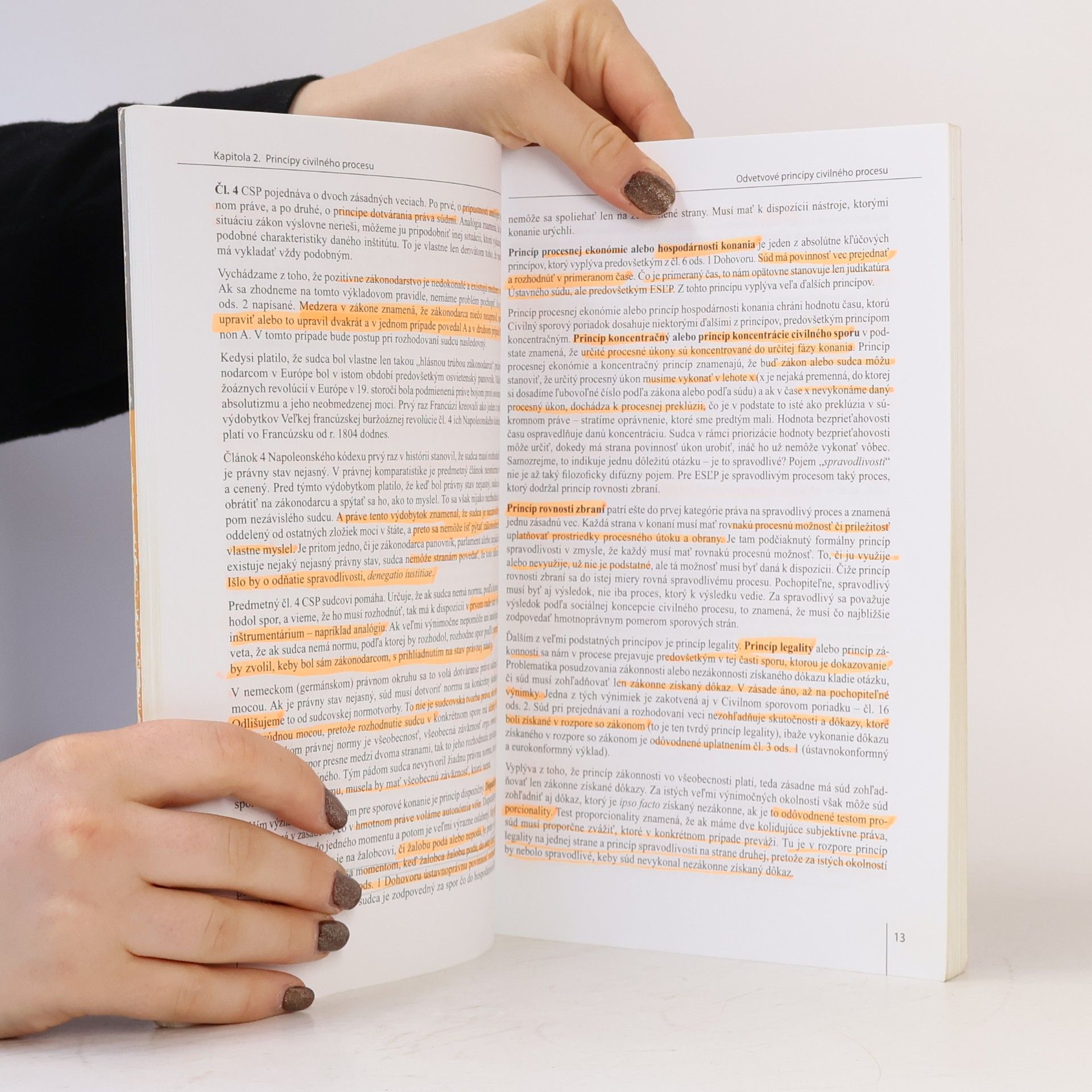Marek Števček Prednášky a texty z civilného procesu