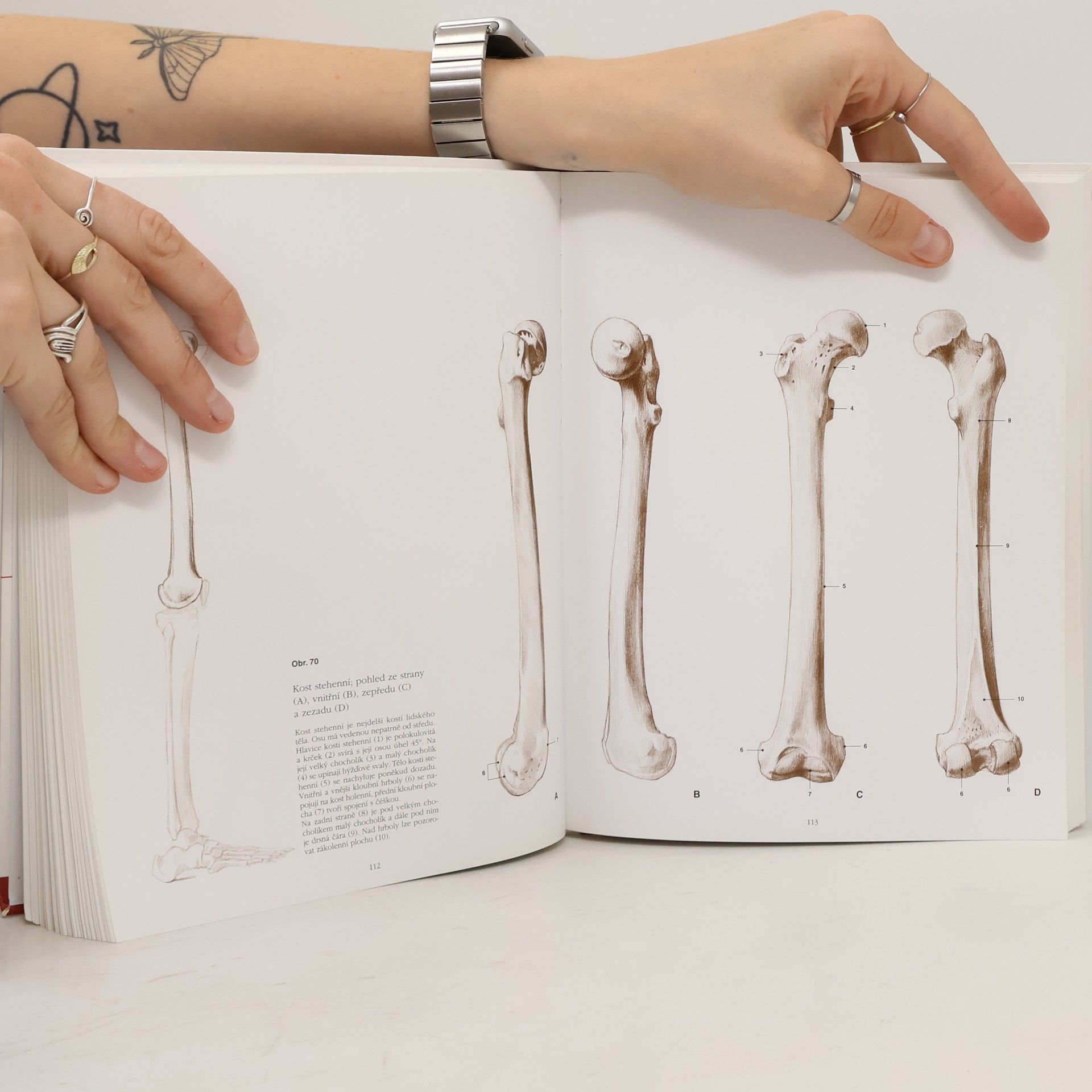 András Szunyoghy Anatomie pro výtvarníky. Člověk