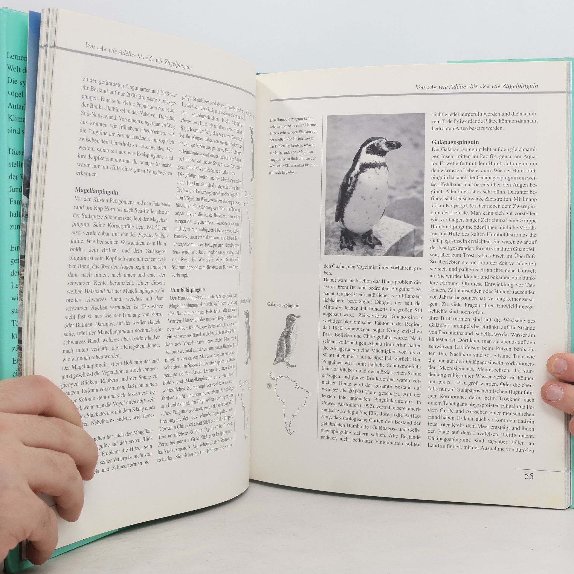 Boris M. Culik Die Welt der Pinguine