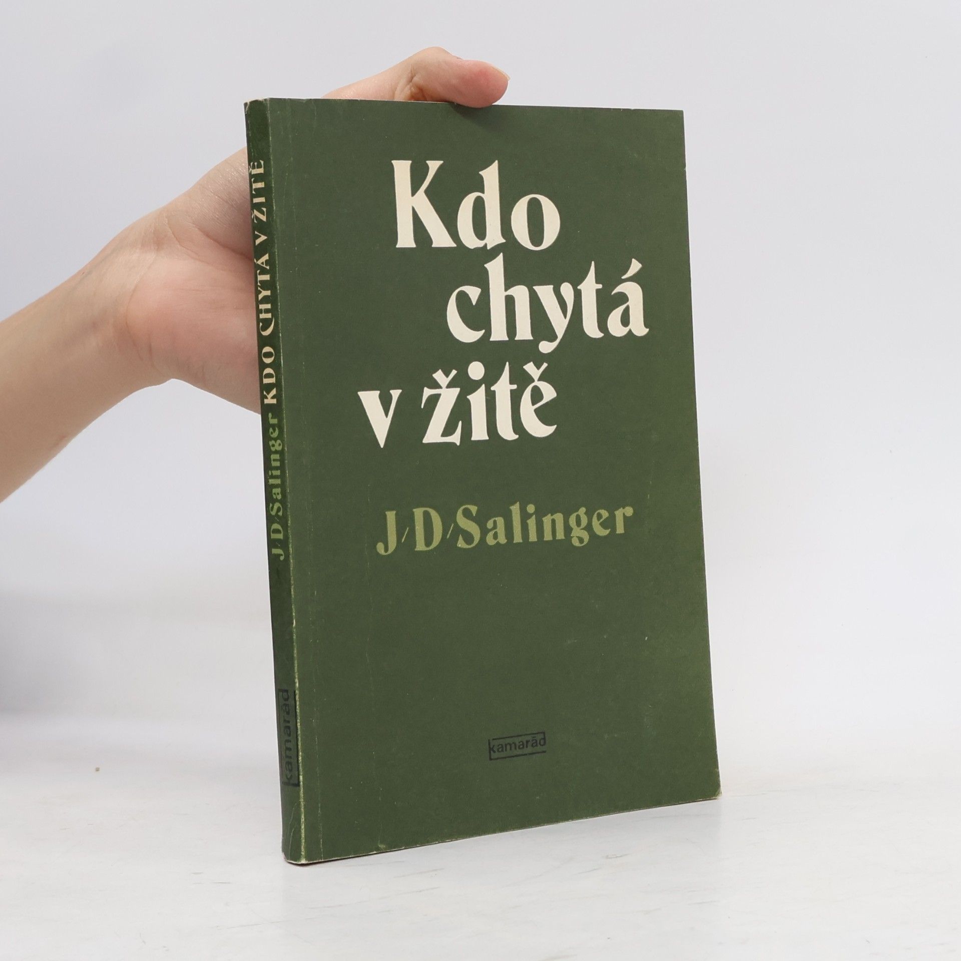 Jerome David Salinger Kdo chytá v žitě