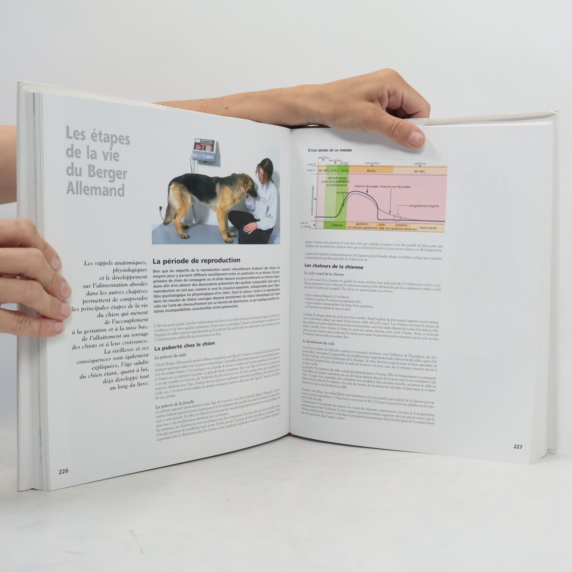 Dominique Grandjean Royal Canin: Encyclopédie du Berger Allemand